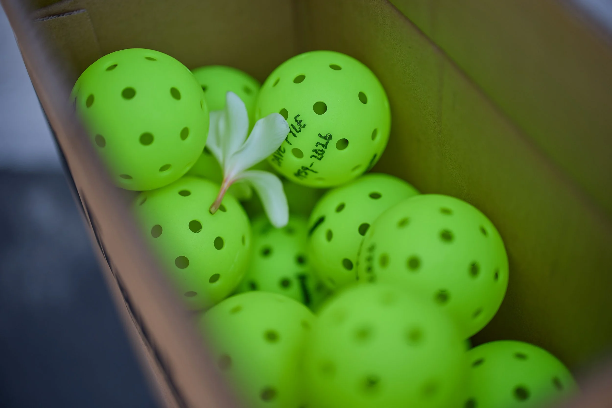 Dave Pyle's Celebration of Life_0198.jpg
