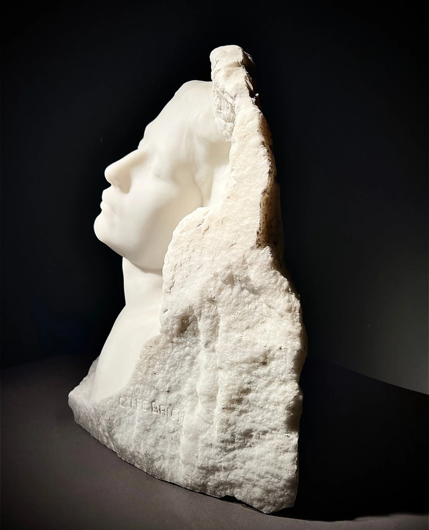 The 48th edition of Antica Namur Fine Art Fair opens this autumn with exceptional works and objects of unparalleled quality. From Old Masters to contemporary creations, and from archaeological treasures to modern design, the fair brings together a ca