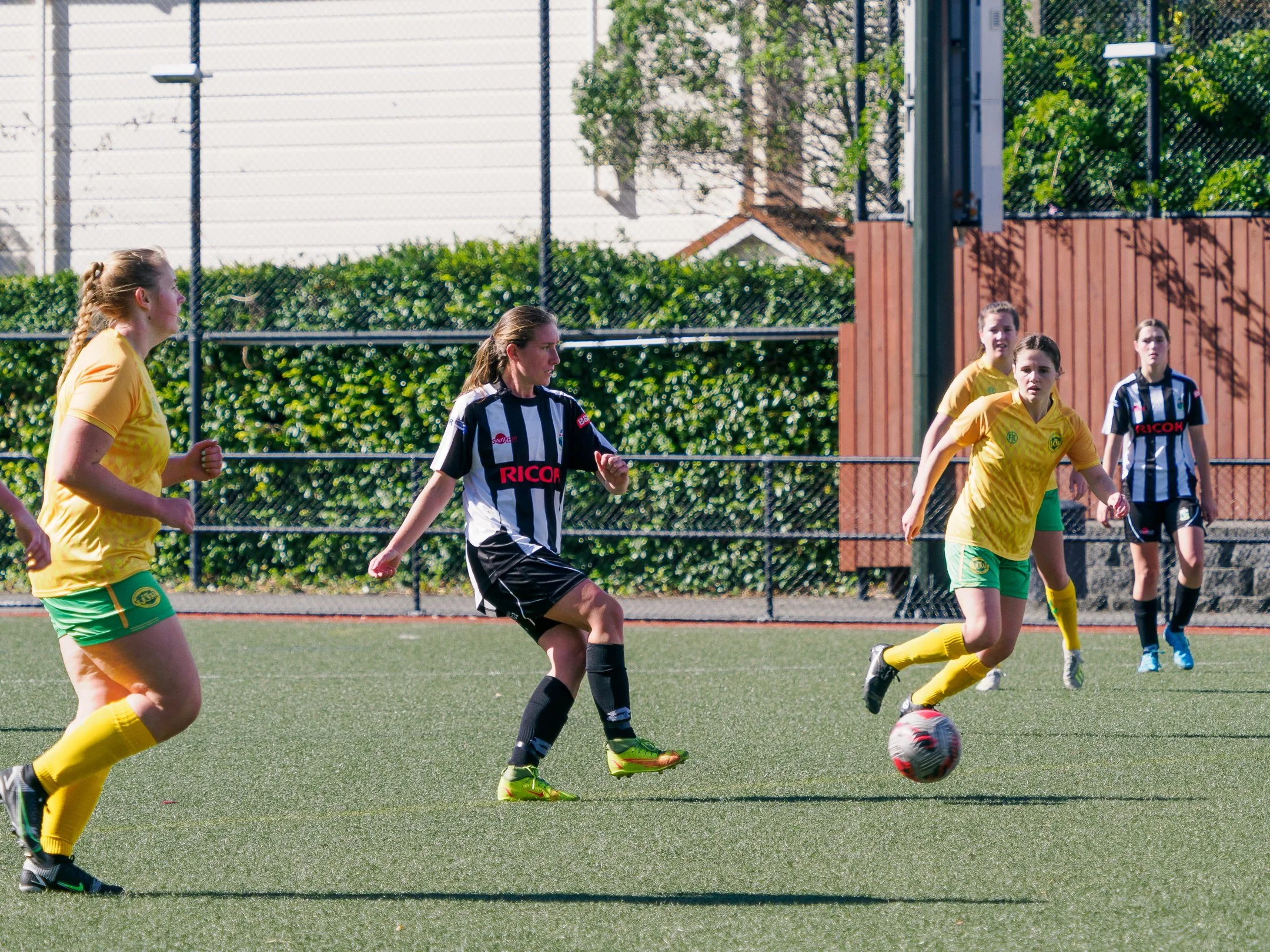 P4230298.jpg