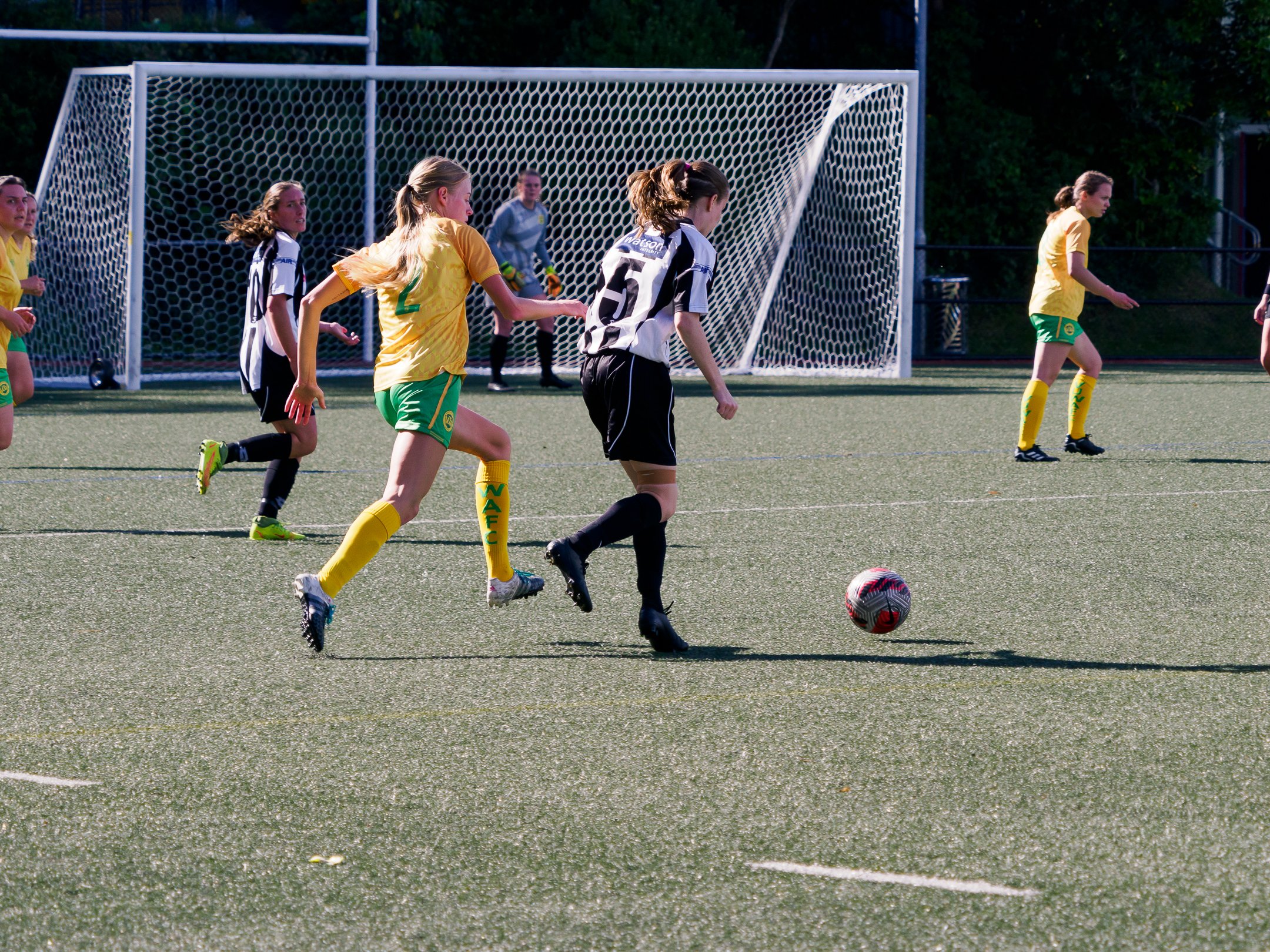 P4230188.jpg