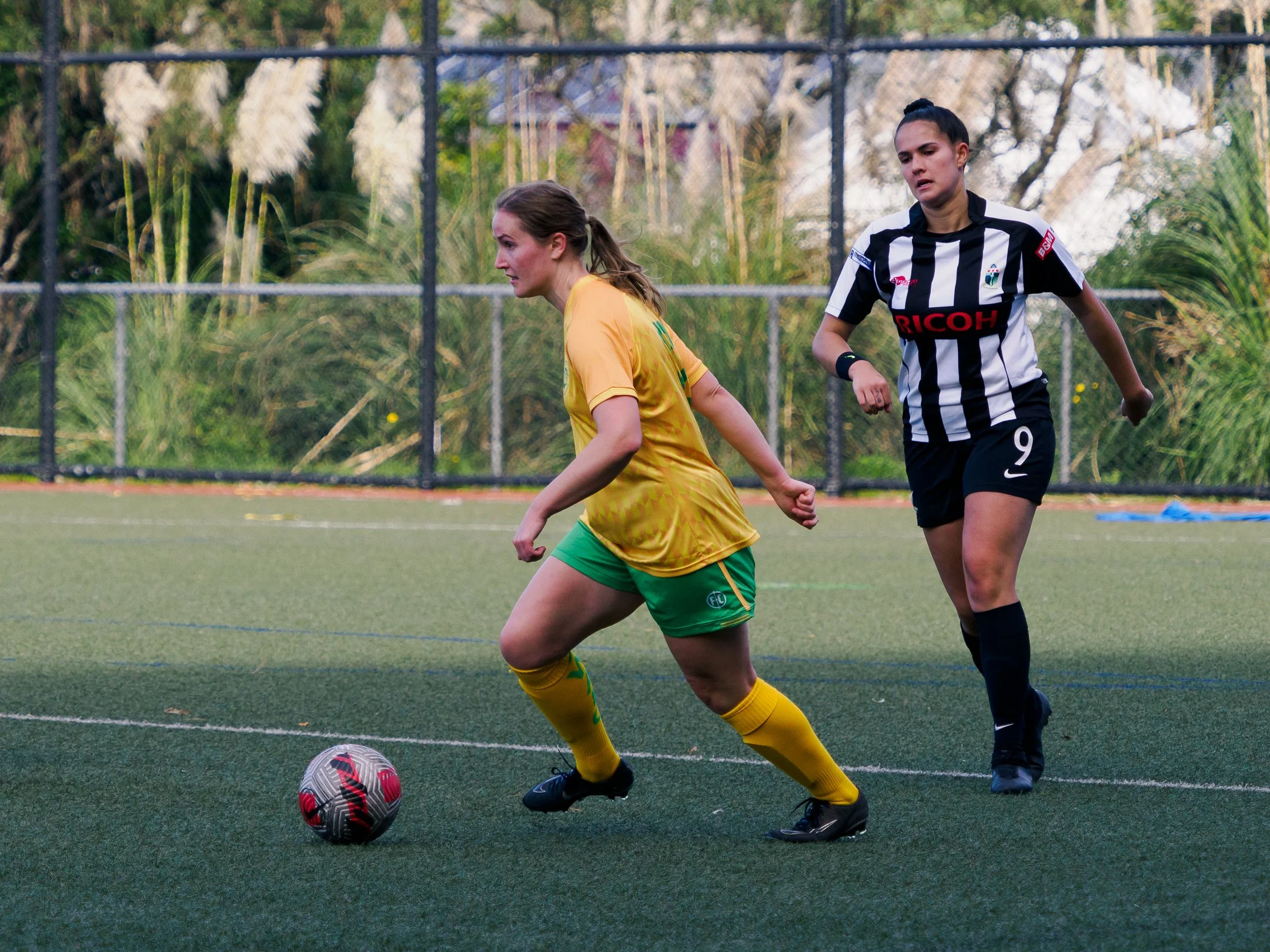 P4231063.jpg