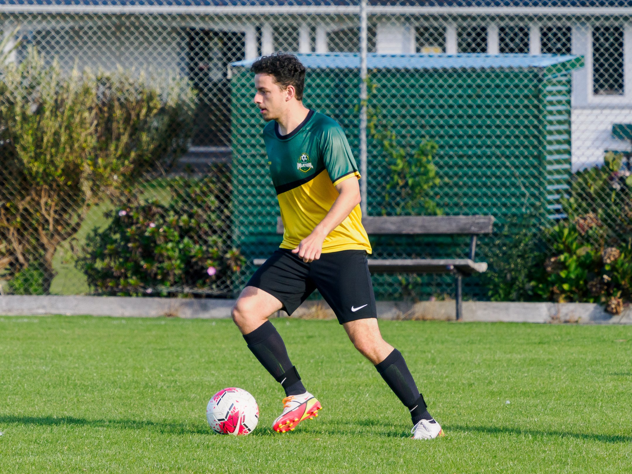 31.jpg