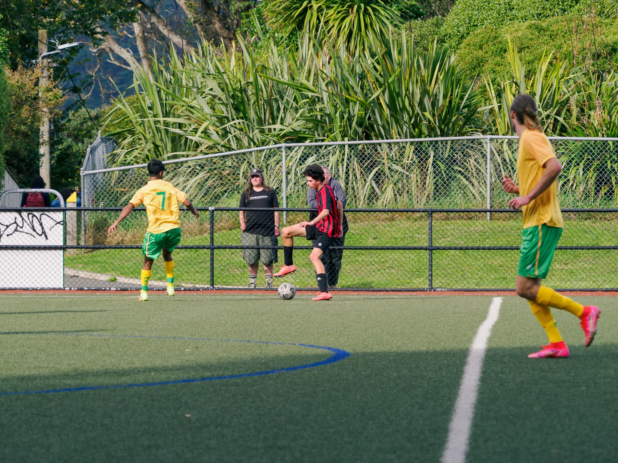 P4232637.jpg