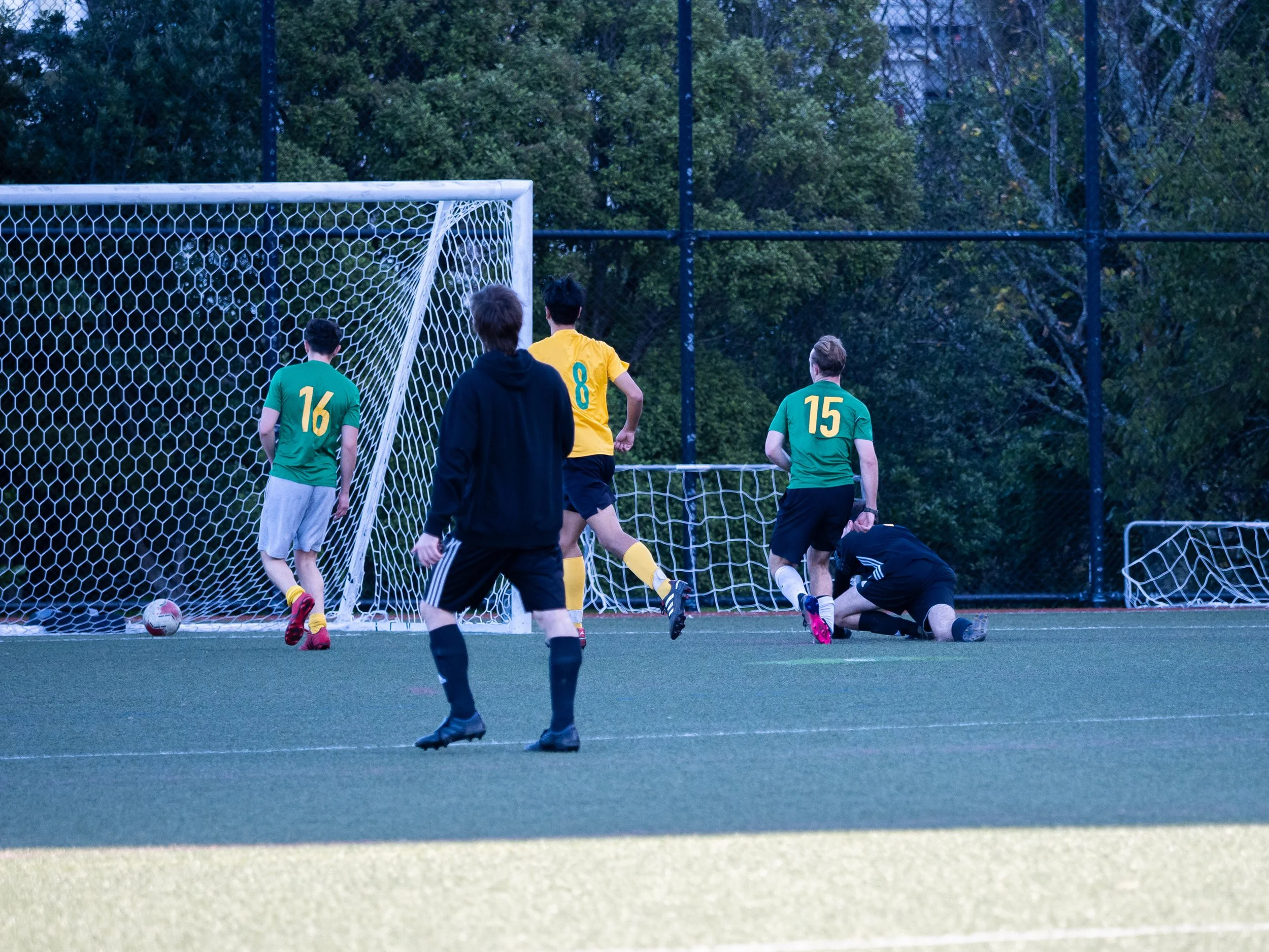 P6114480.jpg