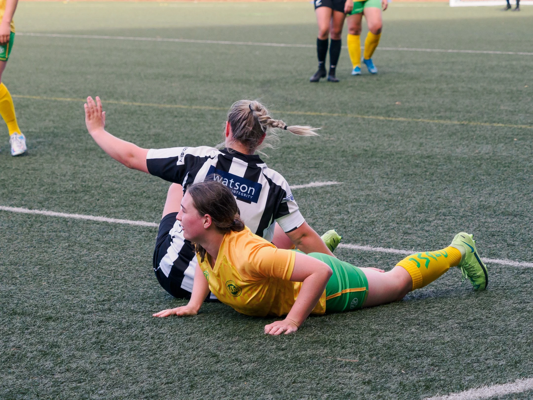 P4231134.jpg