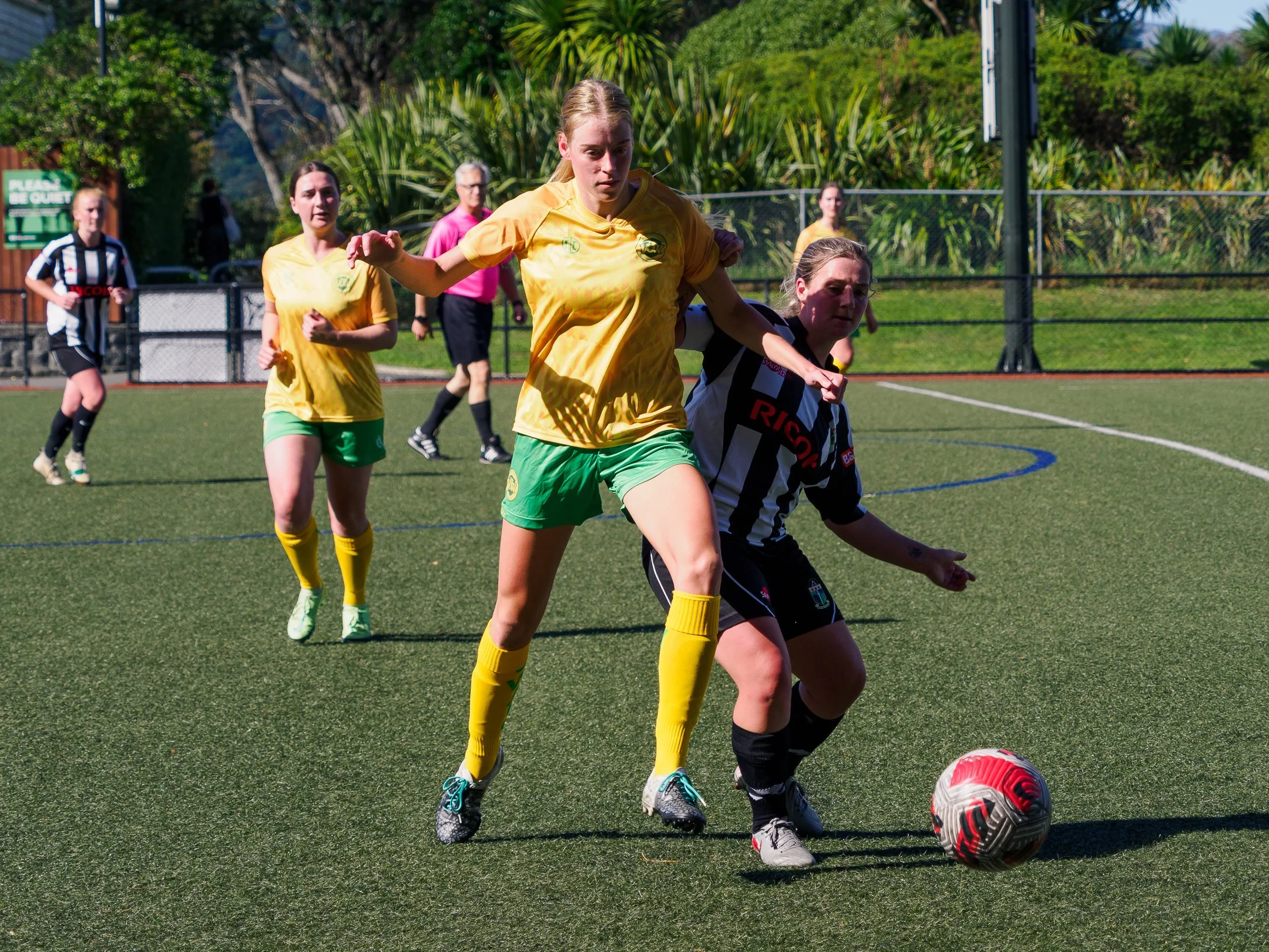 P4230637.jpg