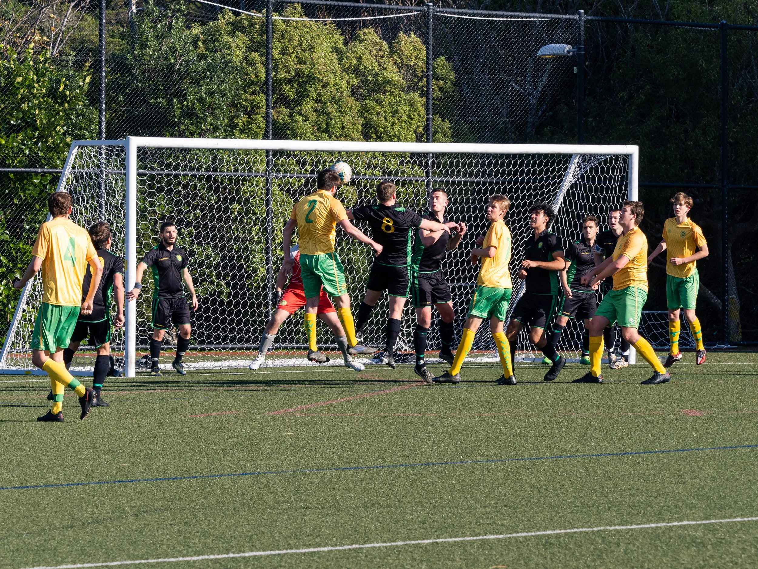 P611065.jpg