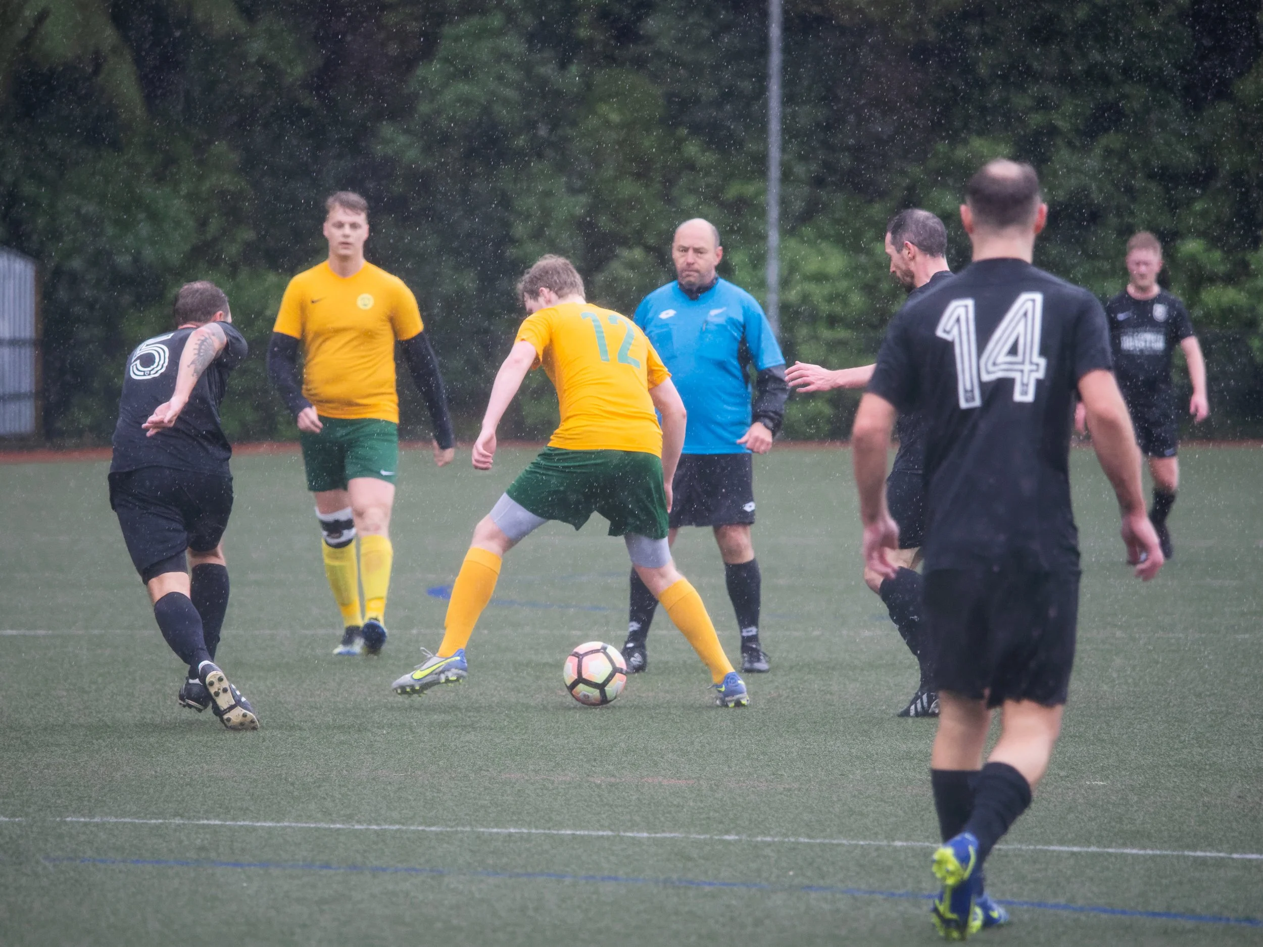P7306016_DxO.jpg