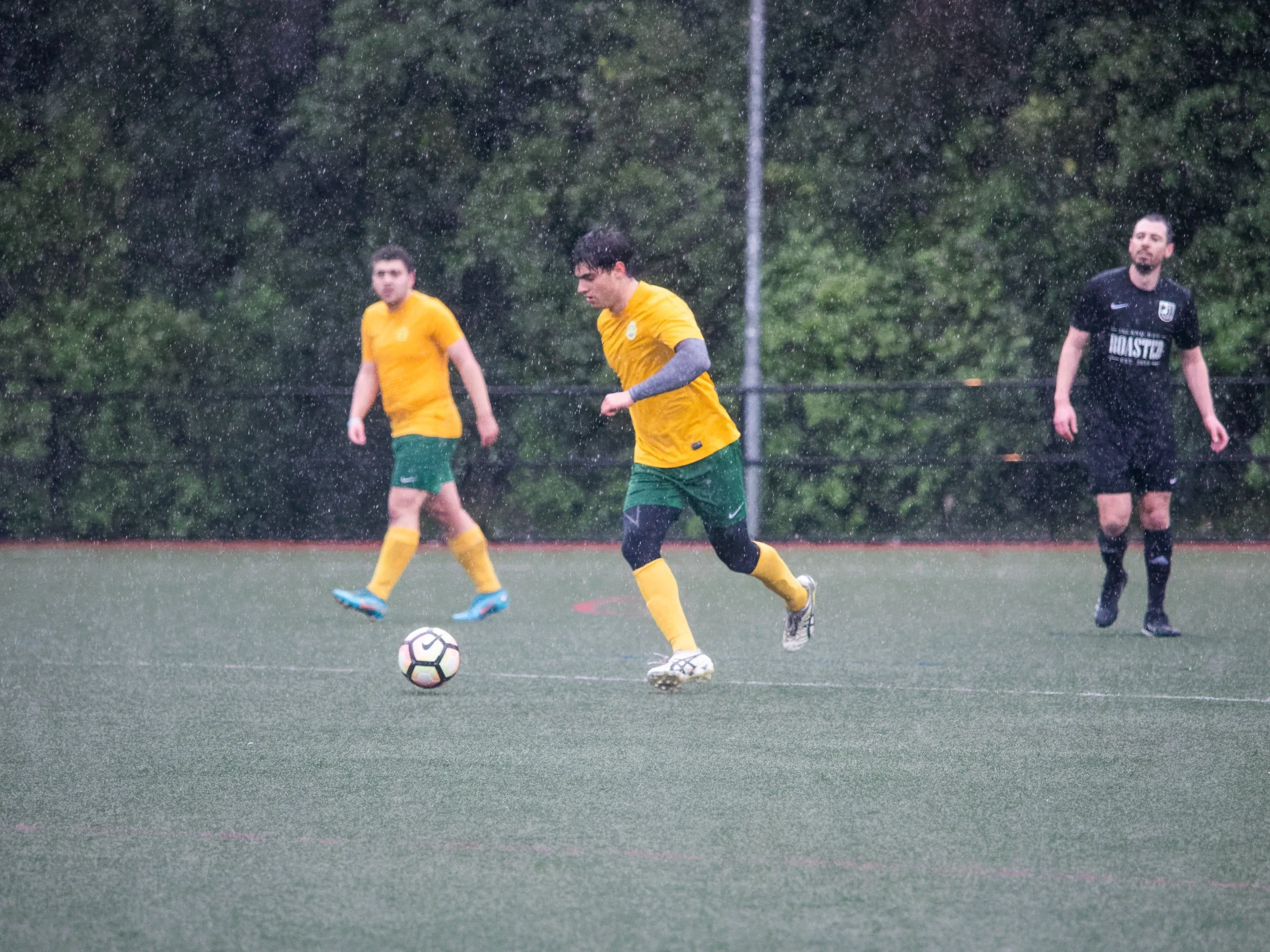 P7305650_DxO.jpg