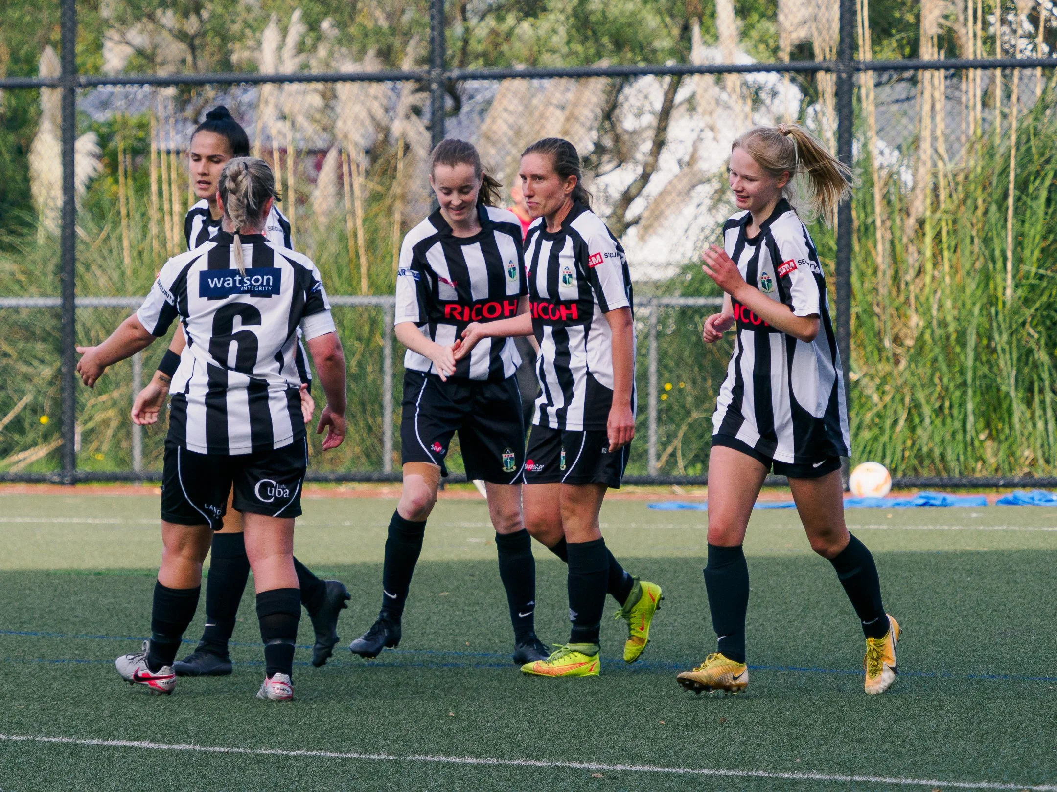 P4231753.jpg