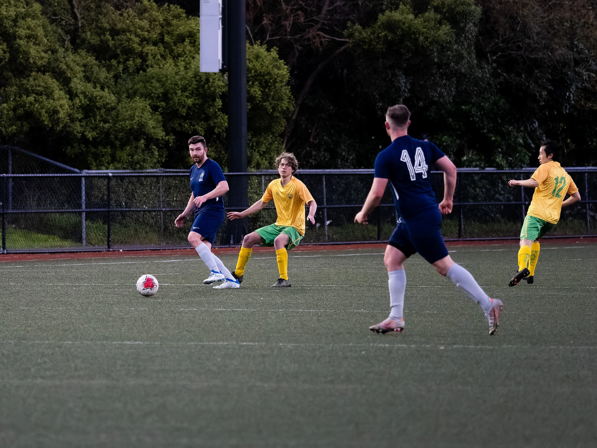 P8133953-ORF_DxO_DeepPRIME.jpg