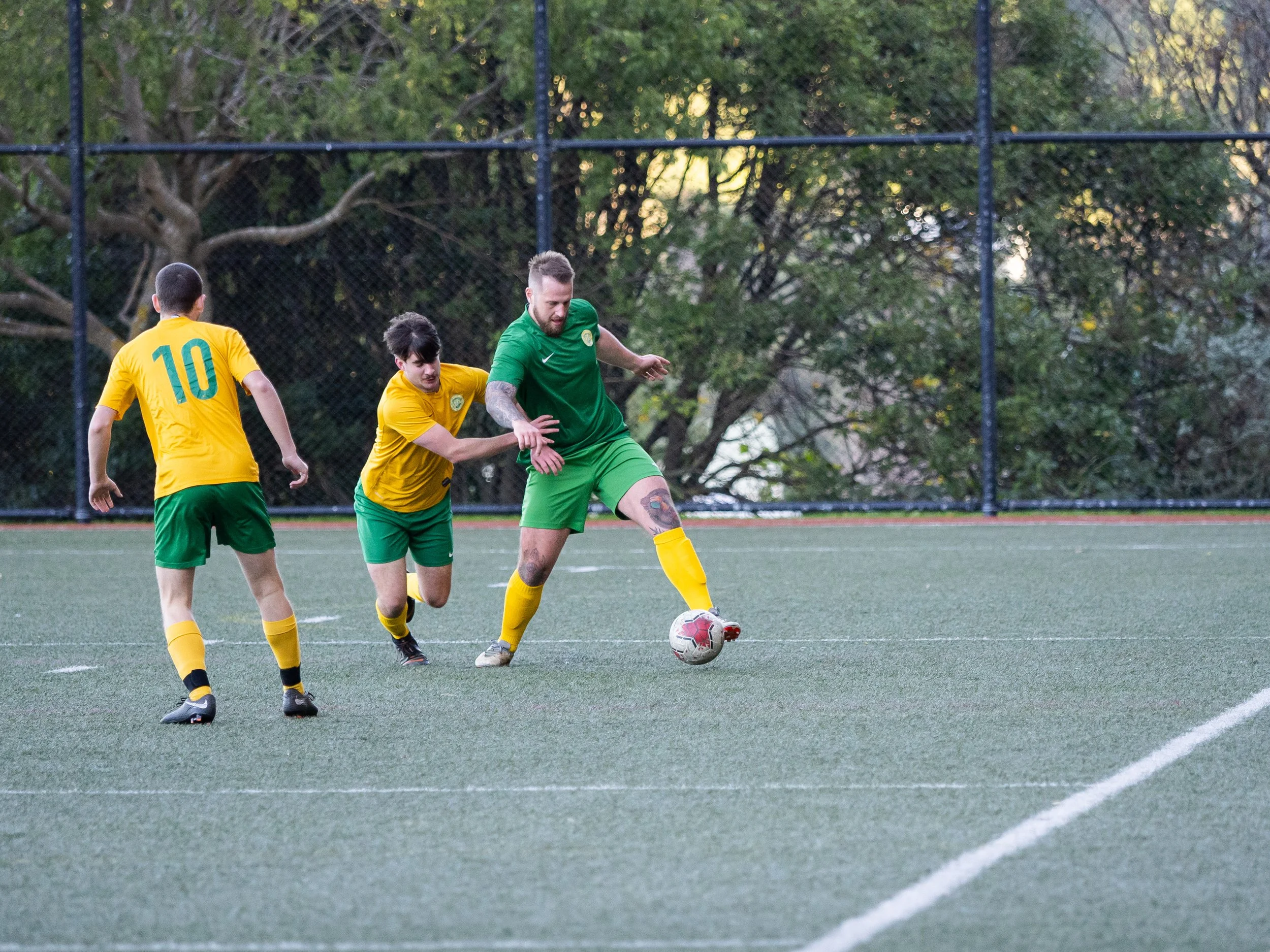 P6115930.jpg