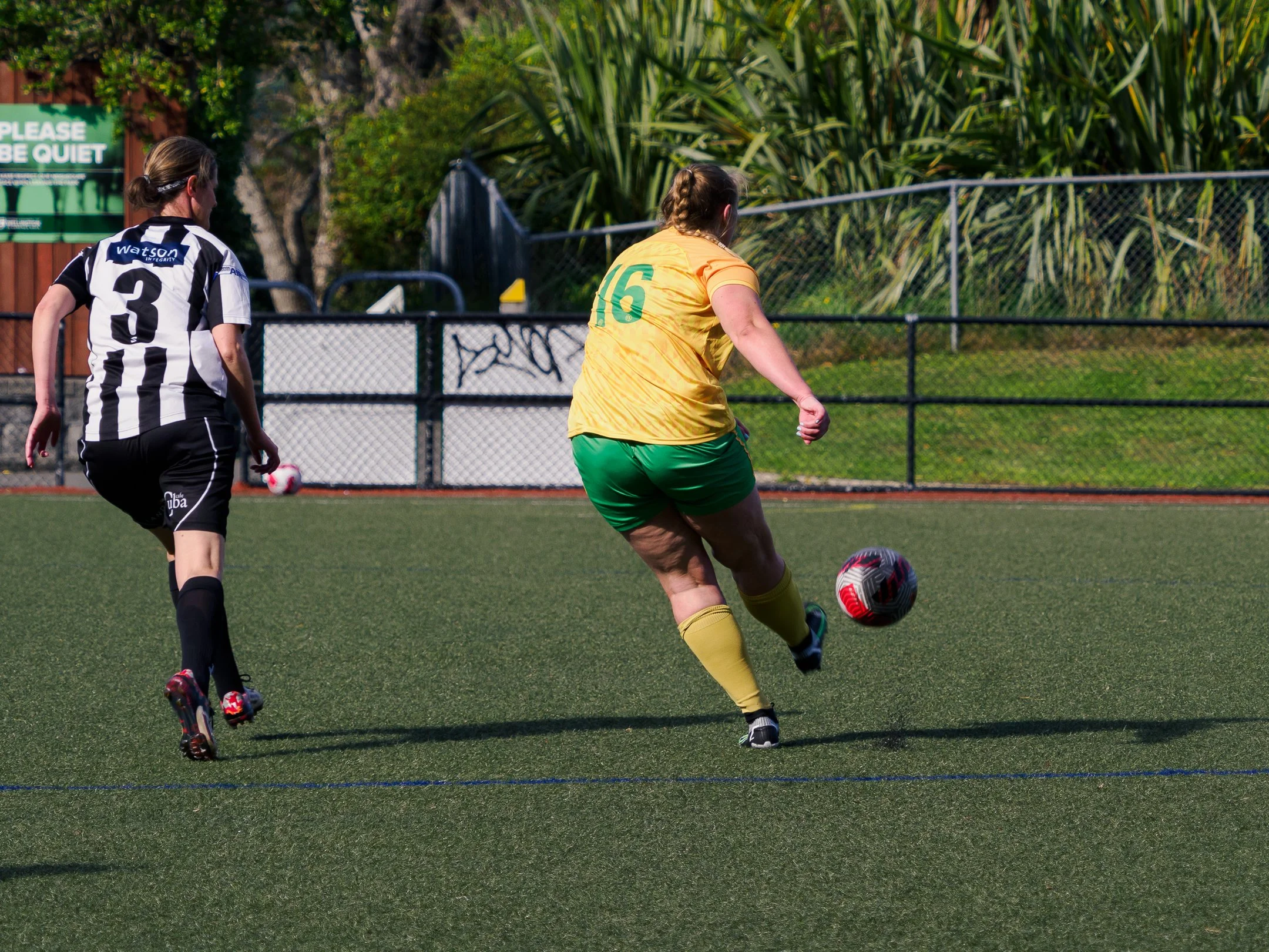 P4231581.jpg