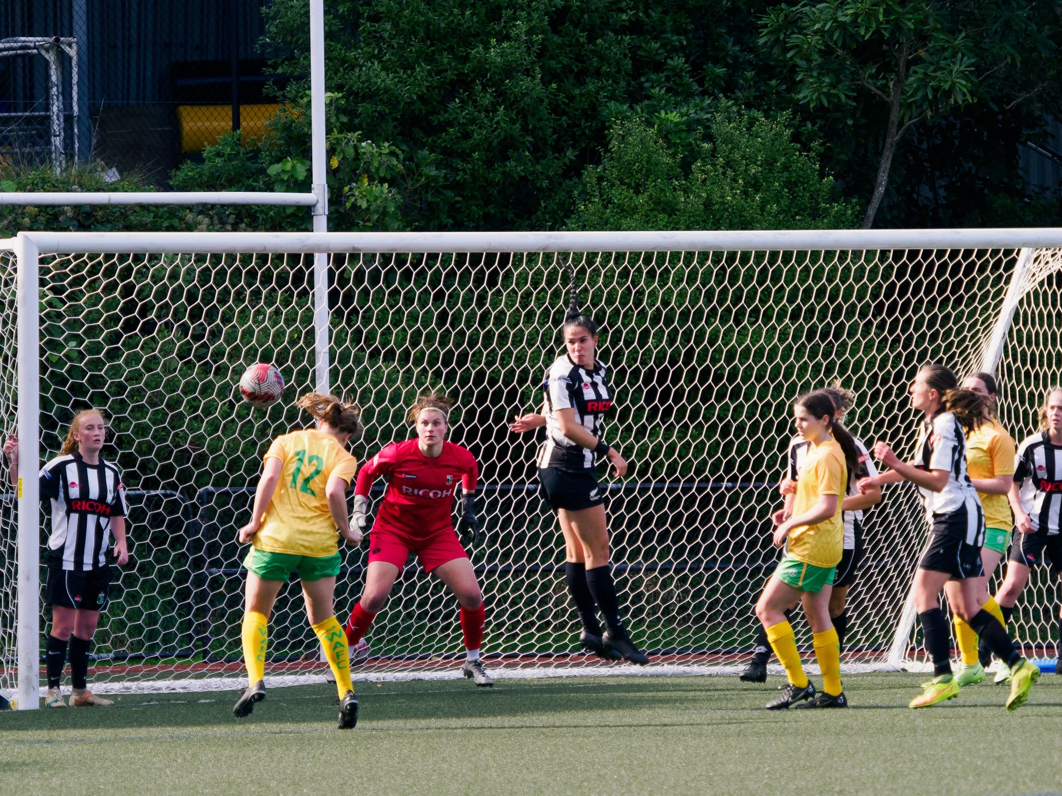 P4231035.jpg