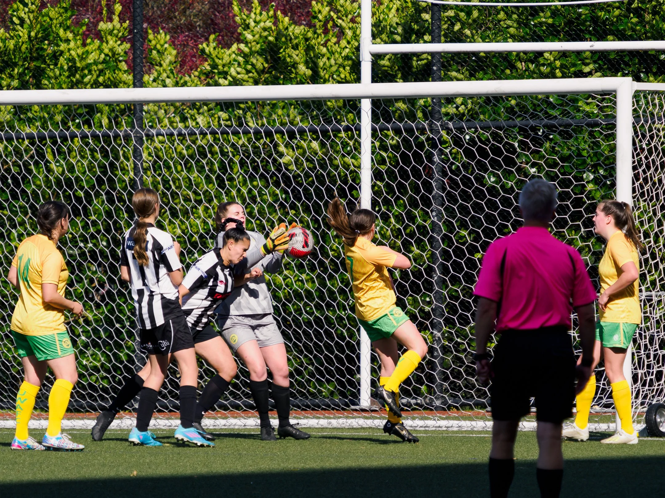 P4230946.jpg