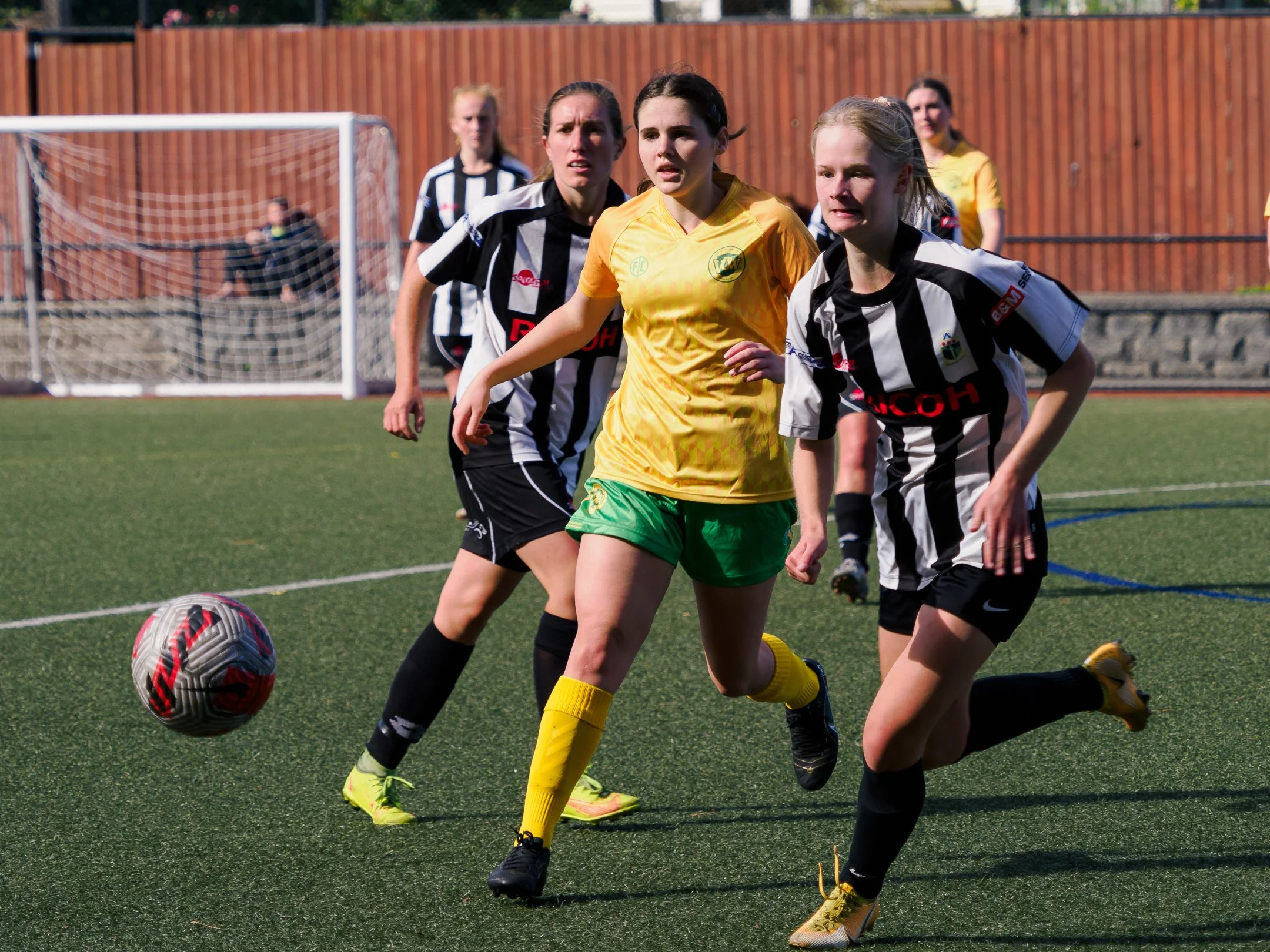 P4231599.jpg