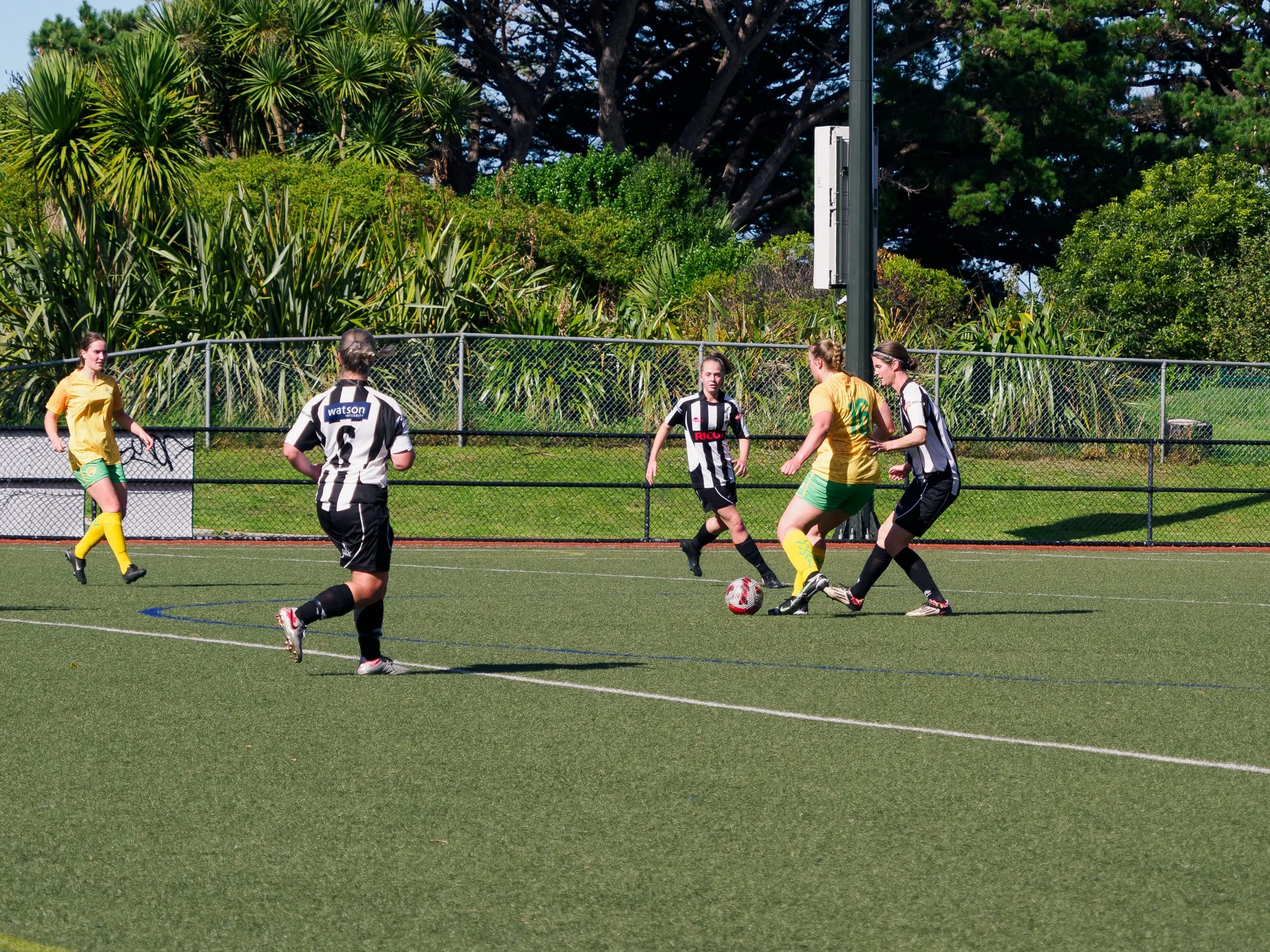 P4230663.jpg