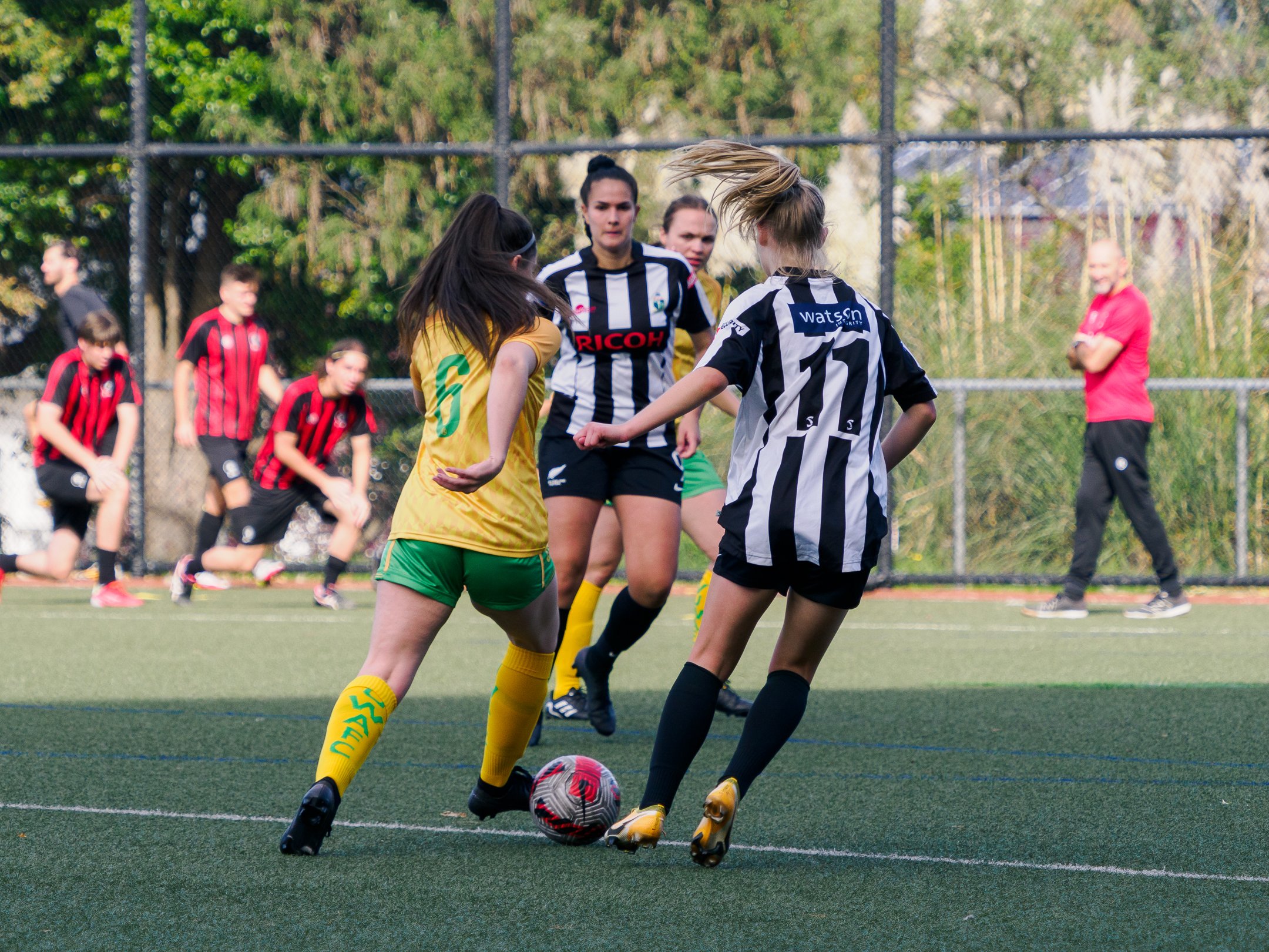 P4231575.jpg