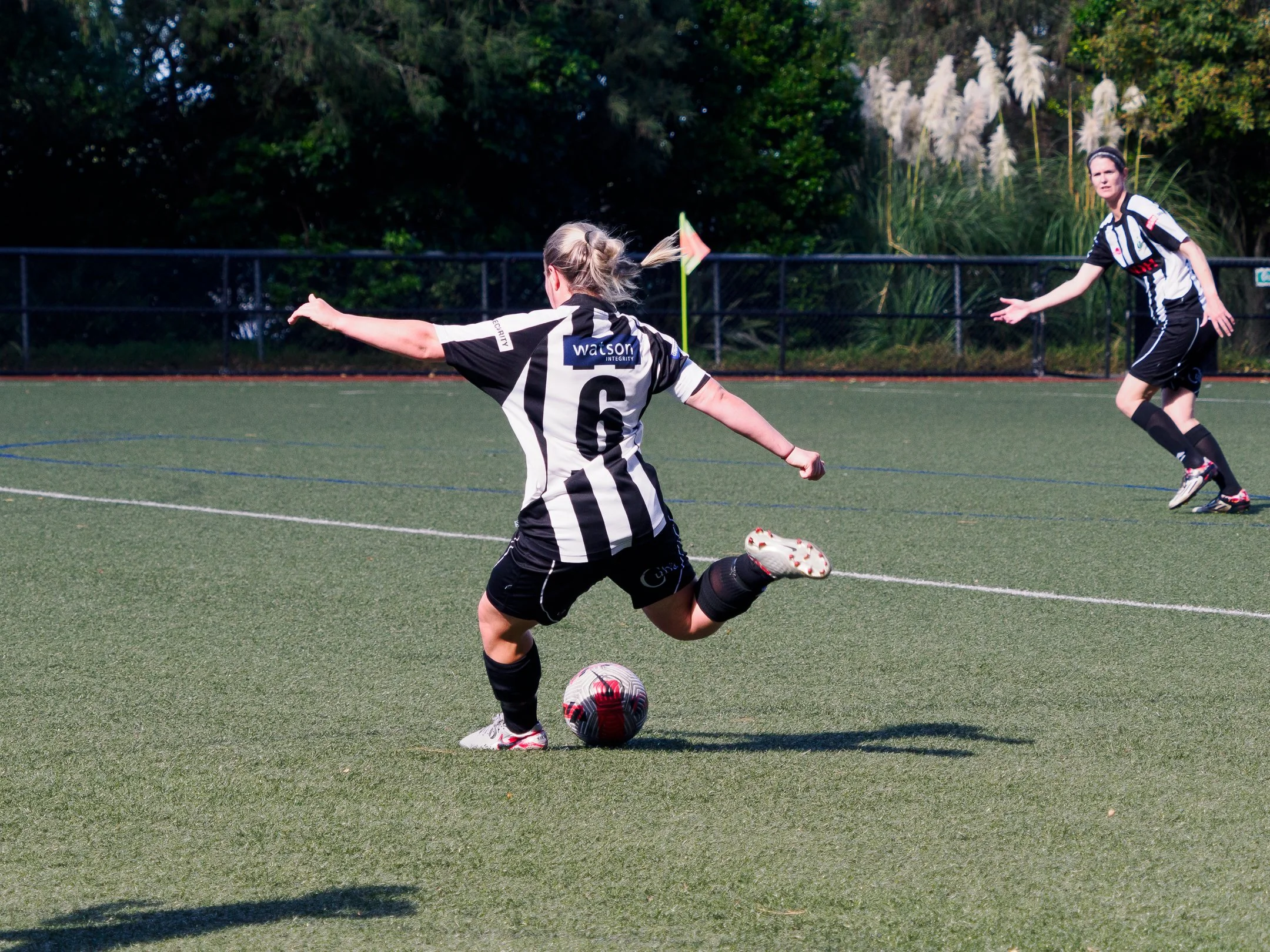P4230443.jpg