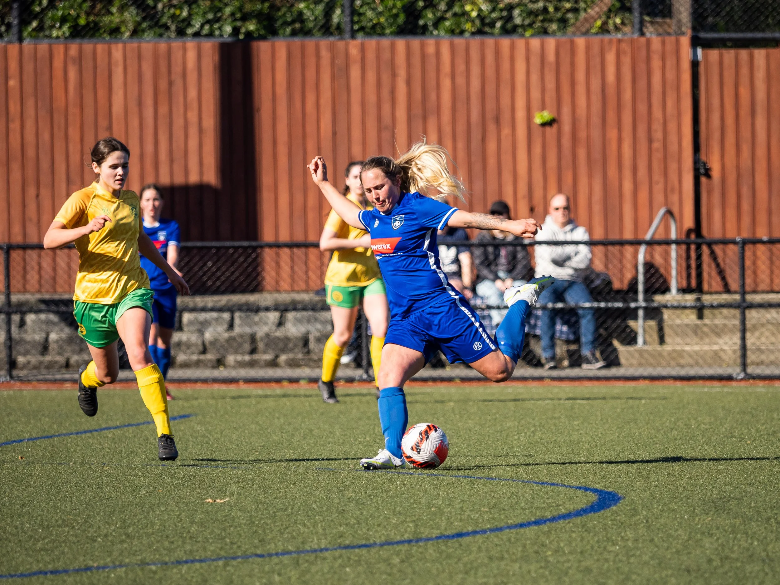 P8136541.jpg