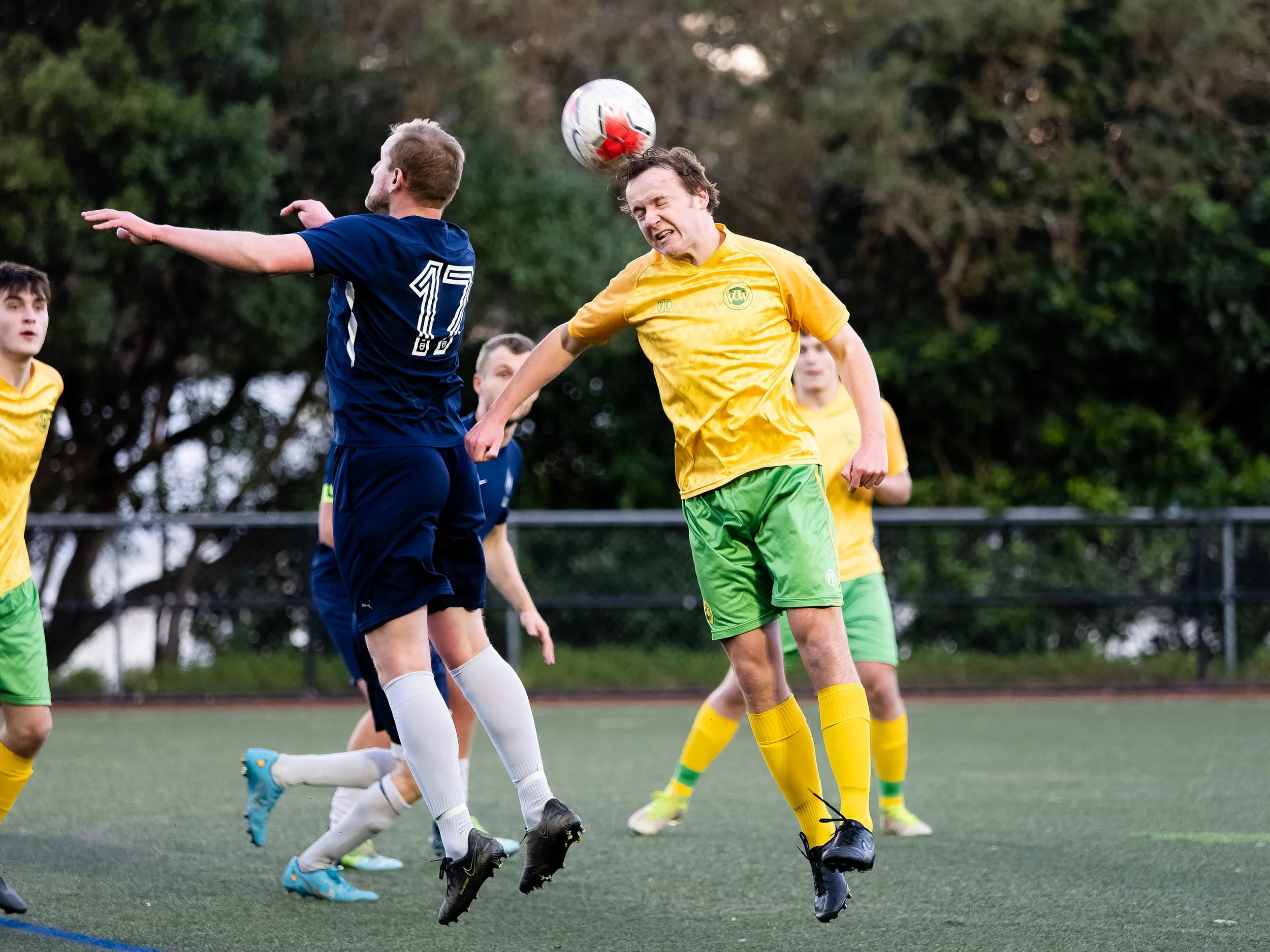 P8133774-ORF_DxO_DeepPRIME.jpg