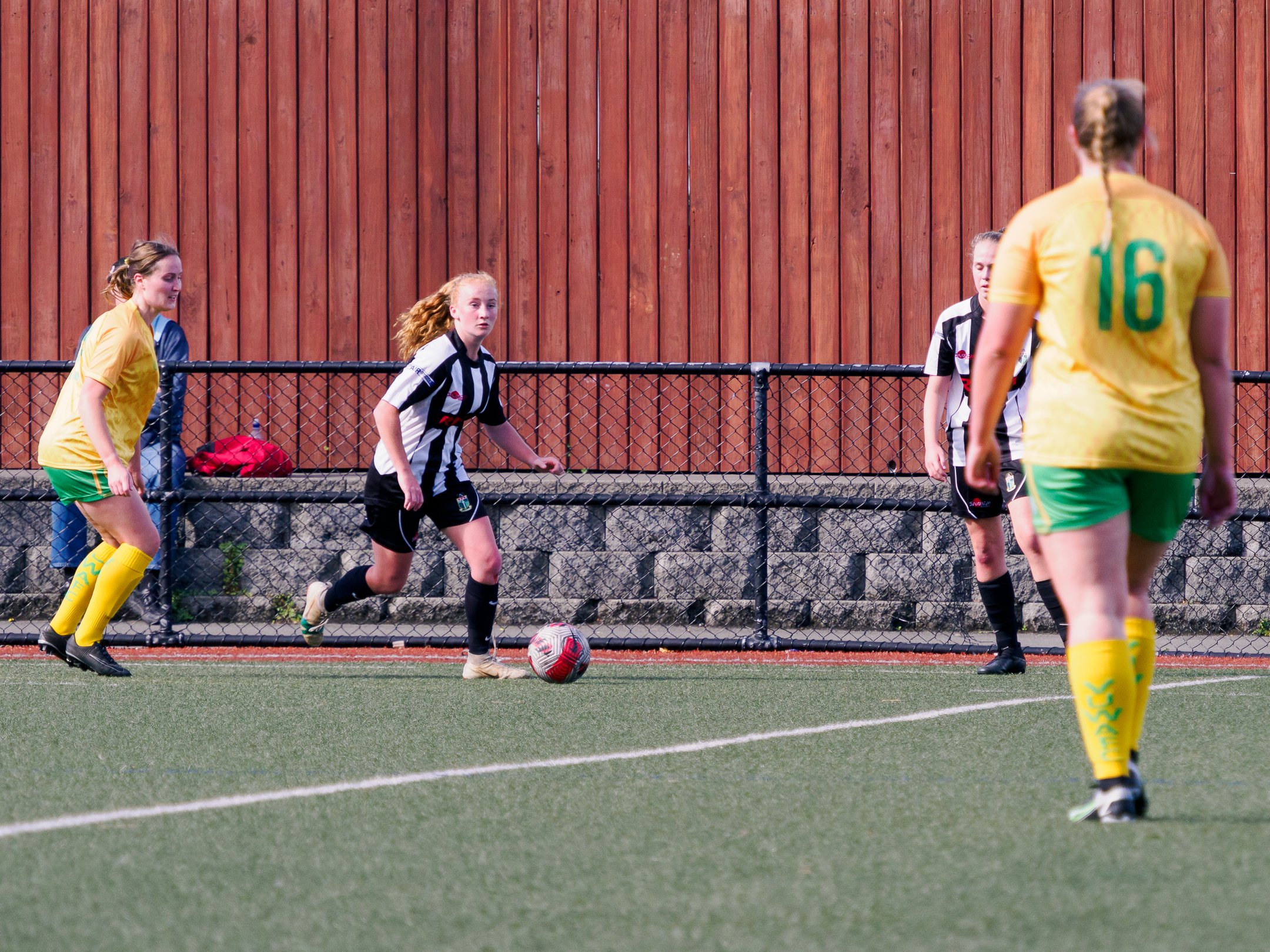 P4230620.jpg