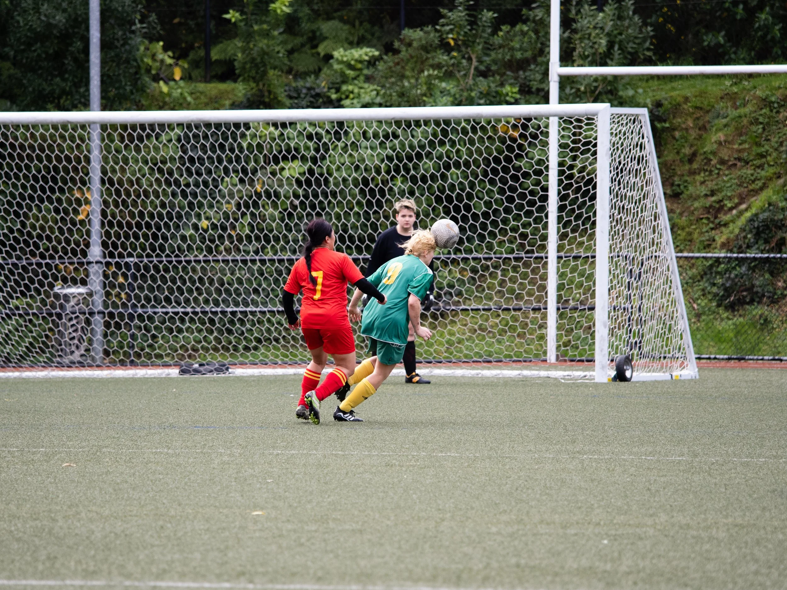 P7105090_DxO.jpg