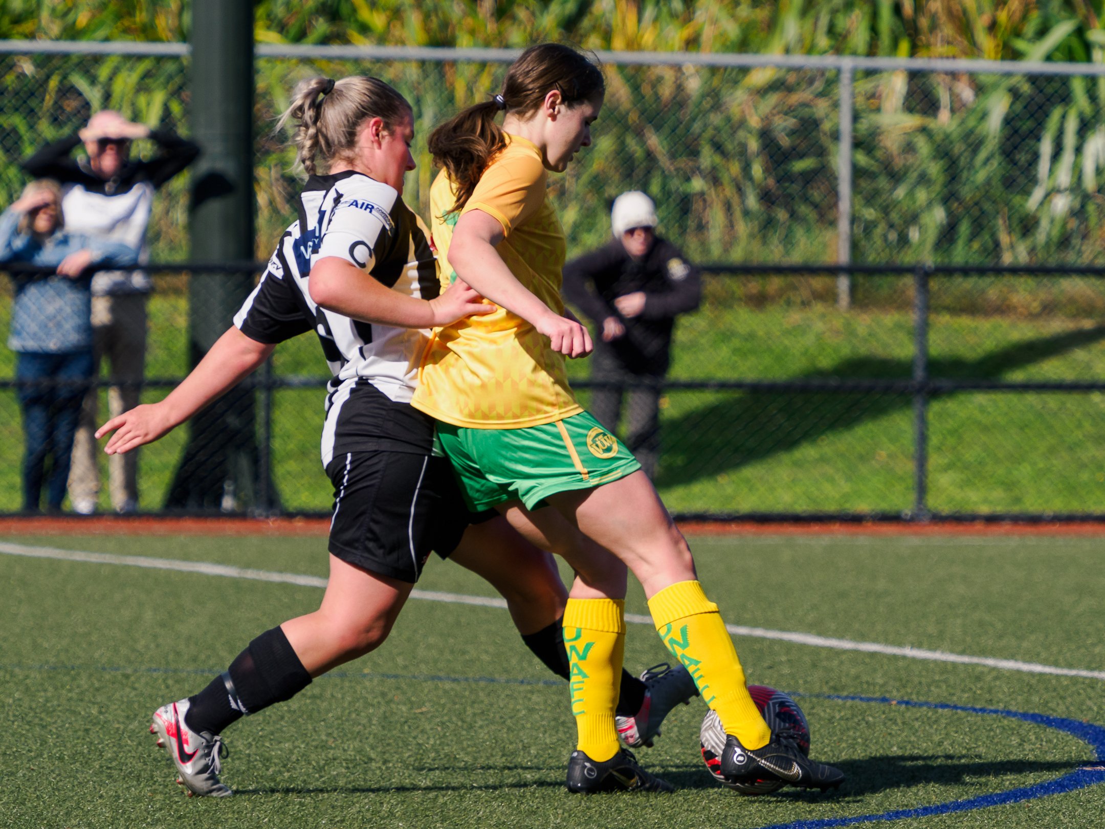 P4231827.jpg
