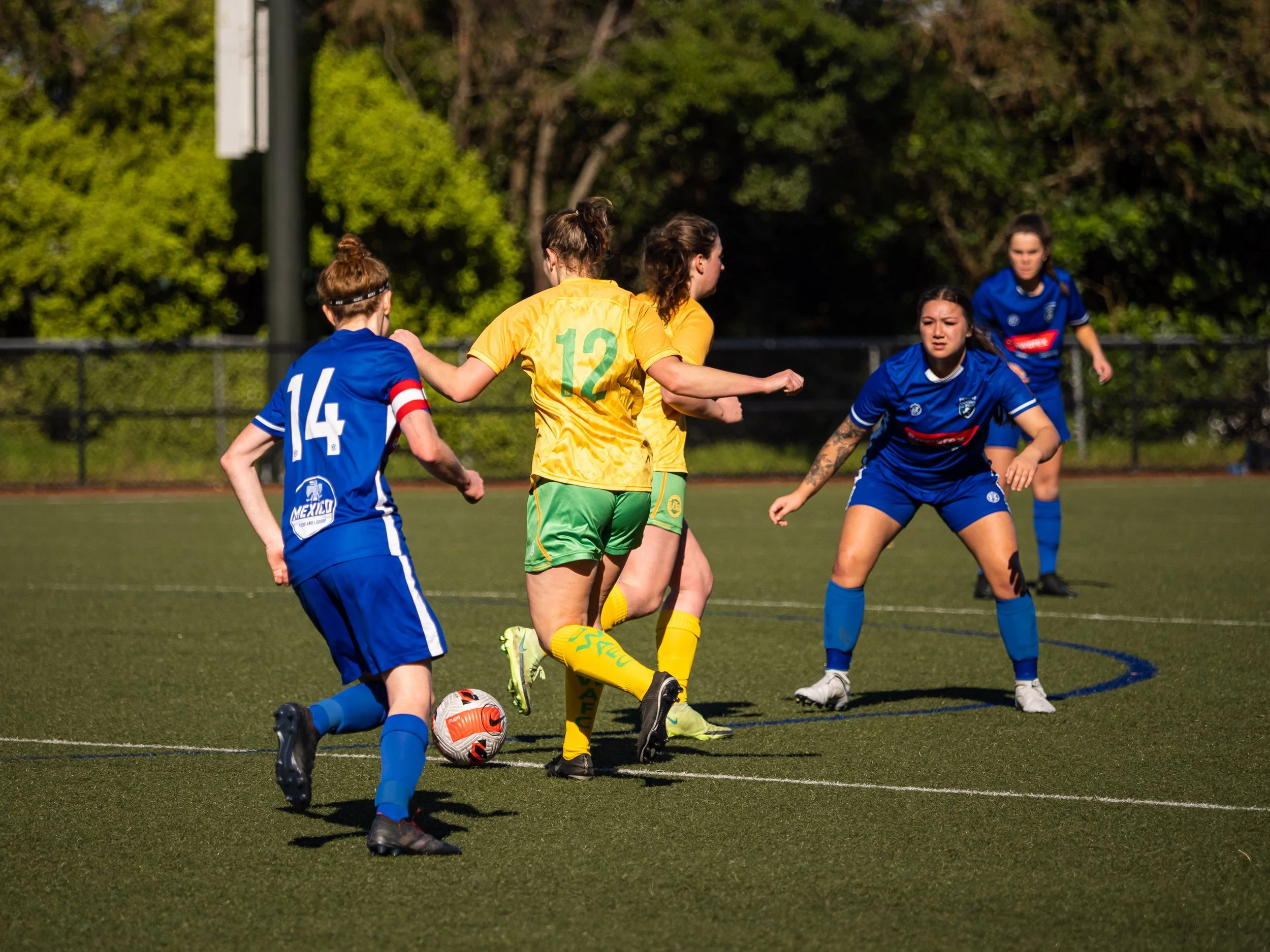 P8136478.jpg