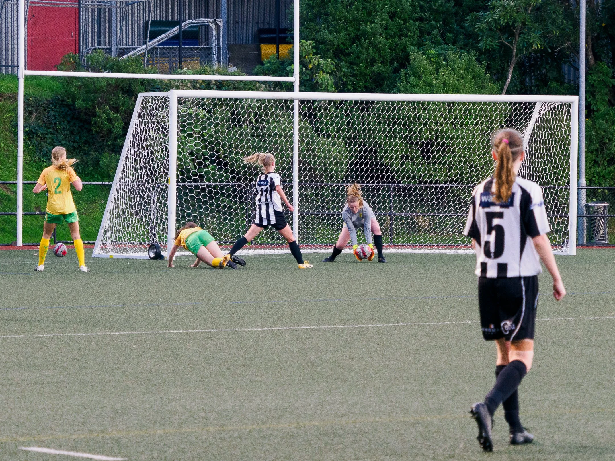 P4230356.jpg
