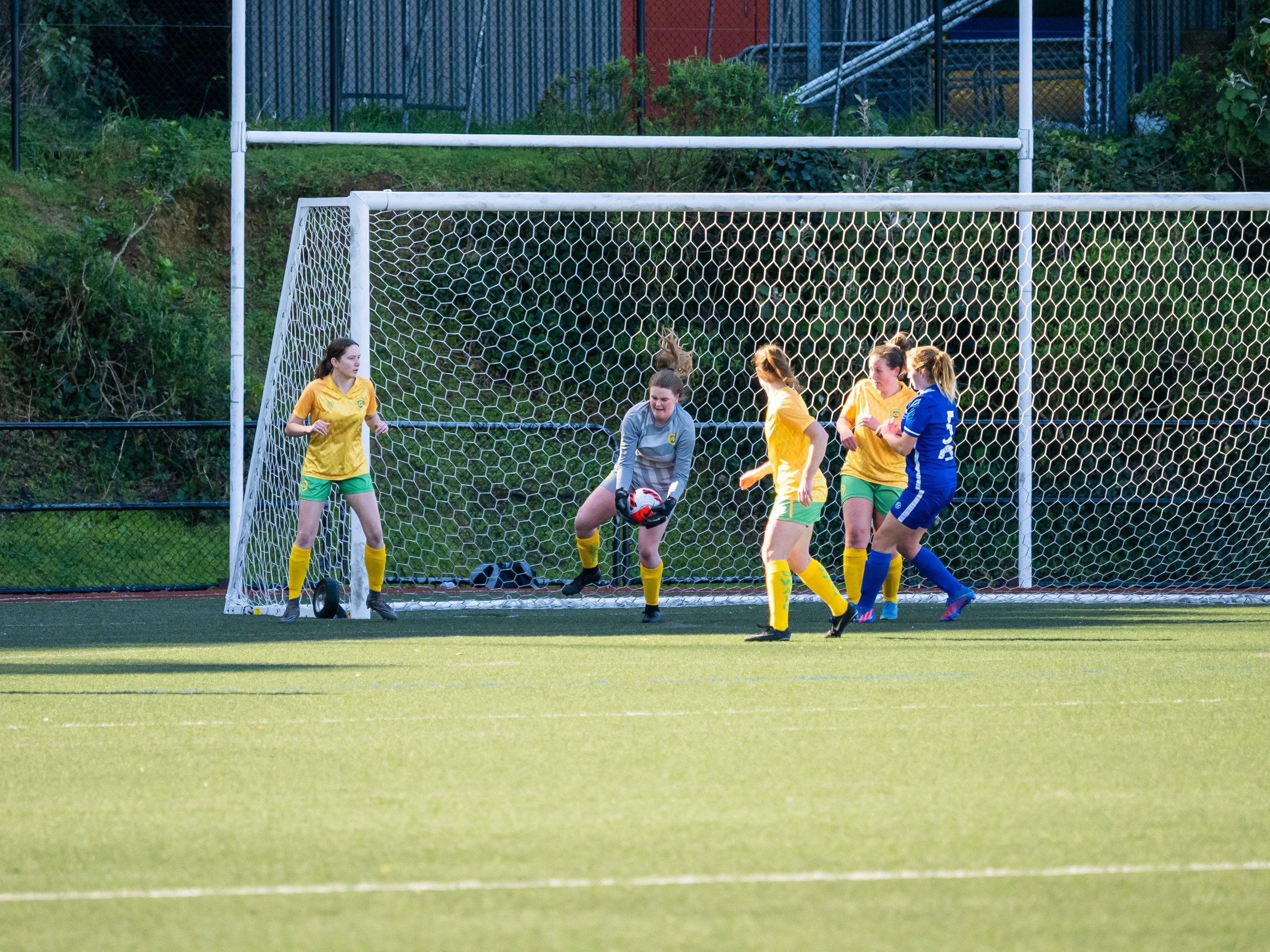 P8135594.jpg