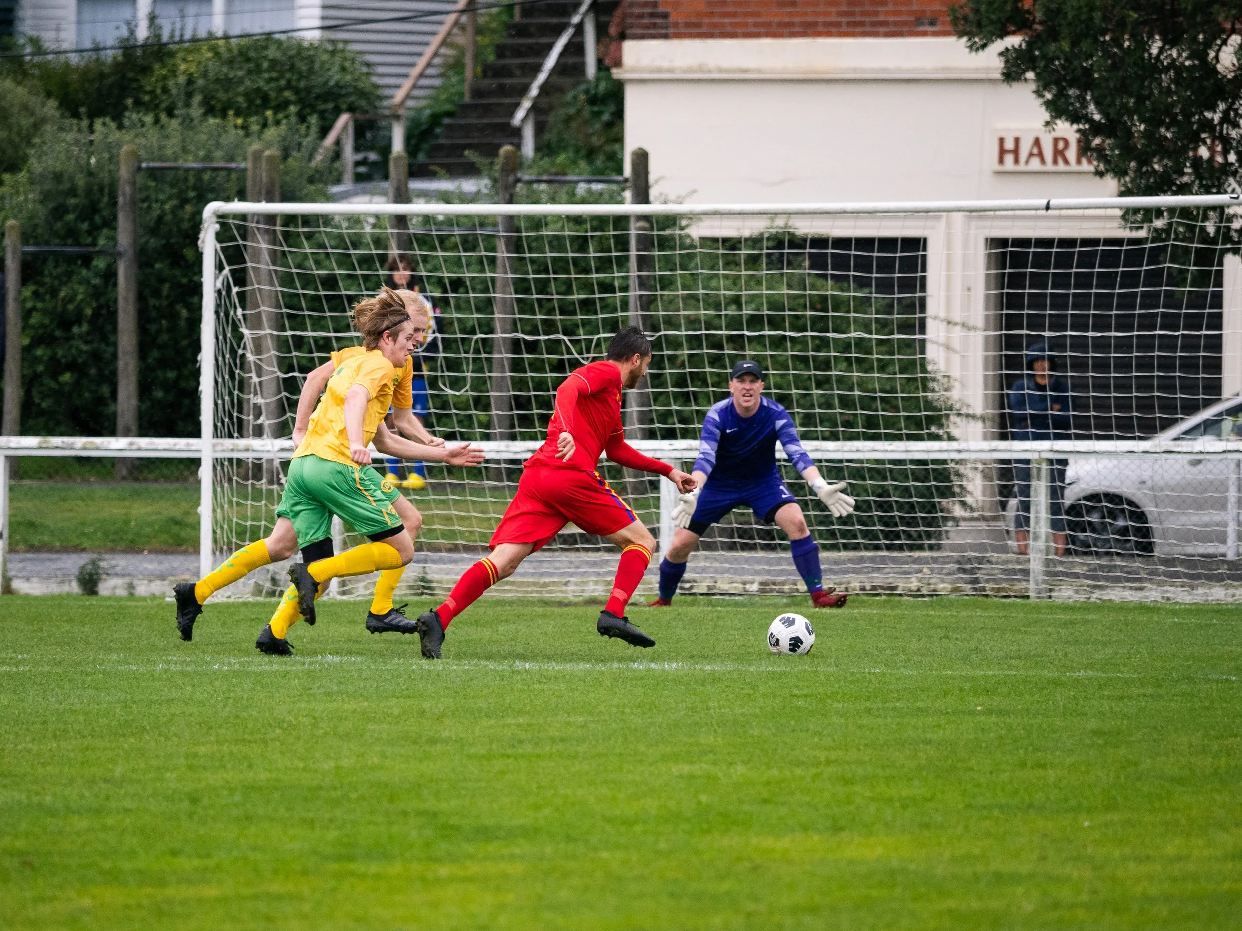 P5143848.jpg