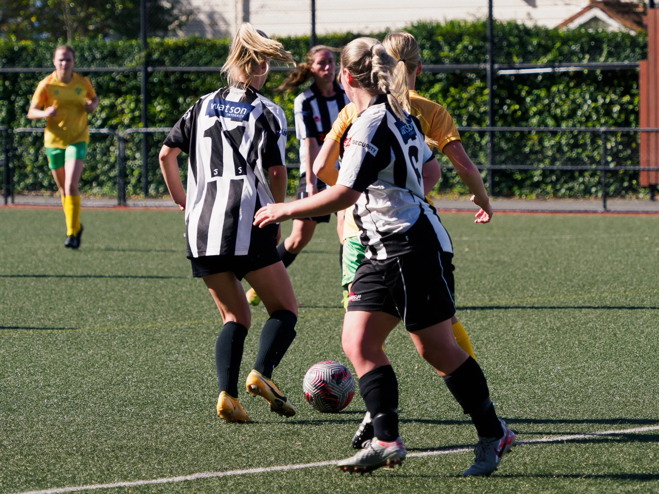 P4230291.jpg