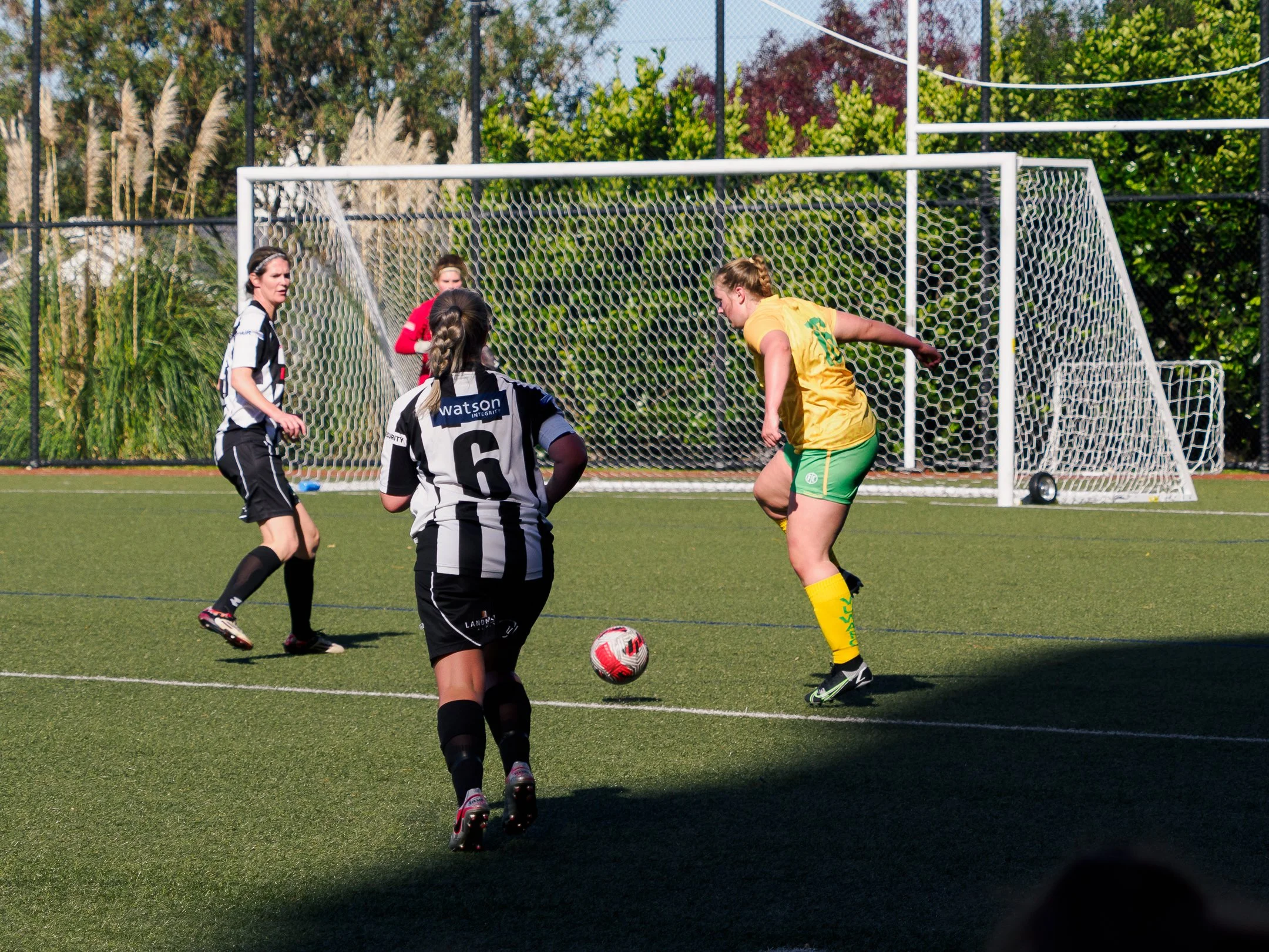 P4230641.jpg
