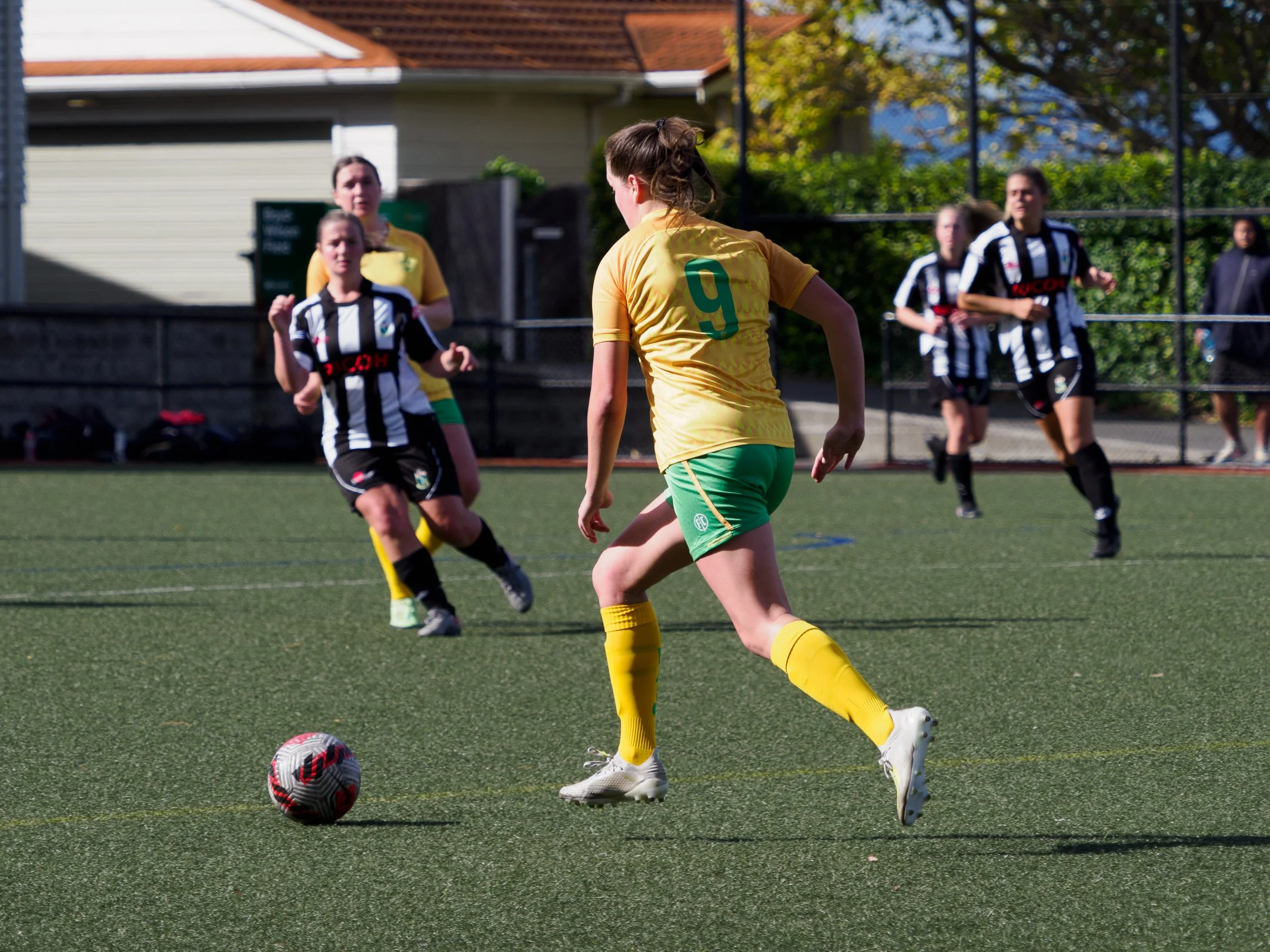 P4231913.jpg