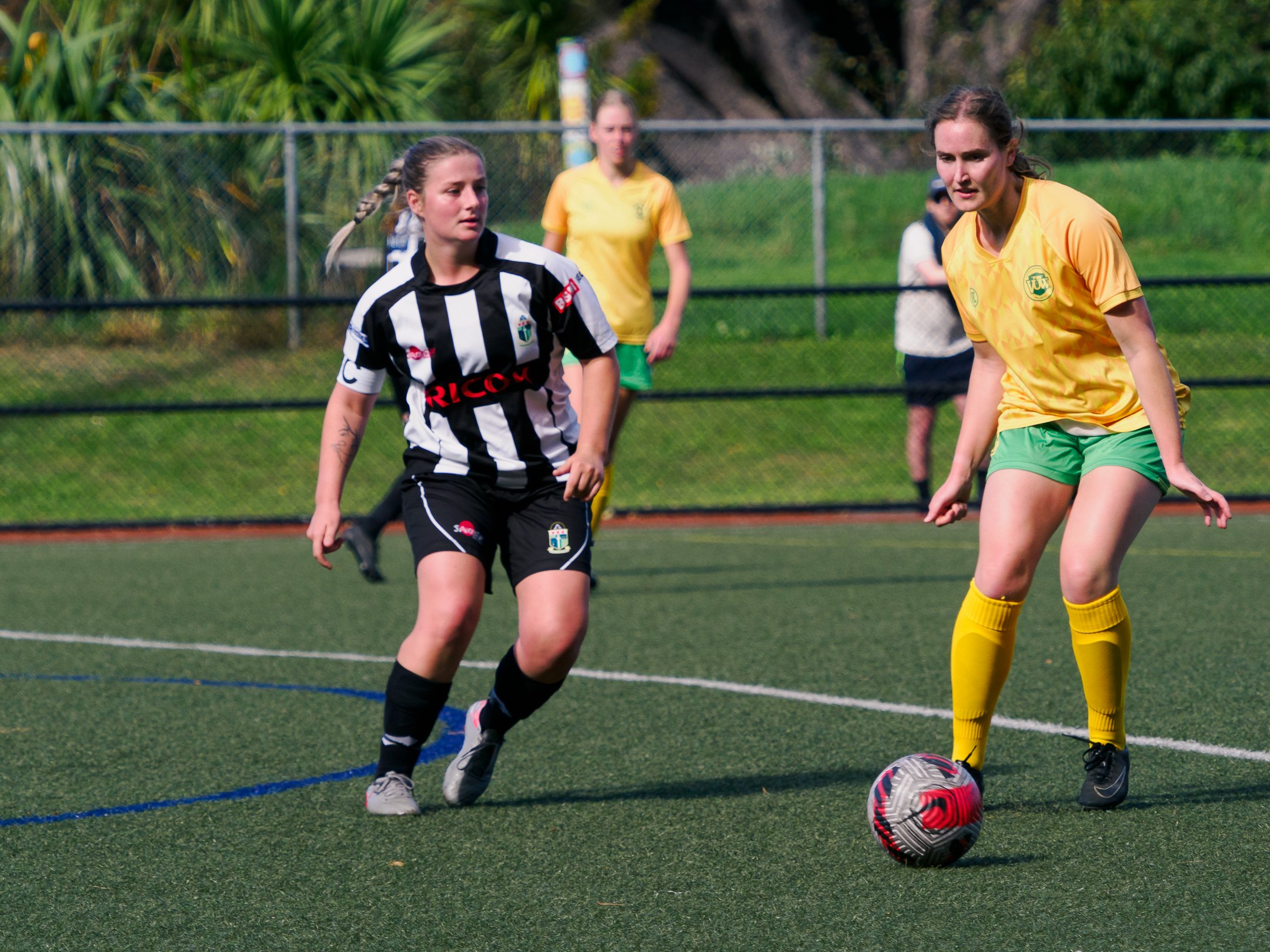 P4231080.jpg