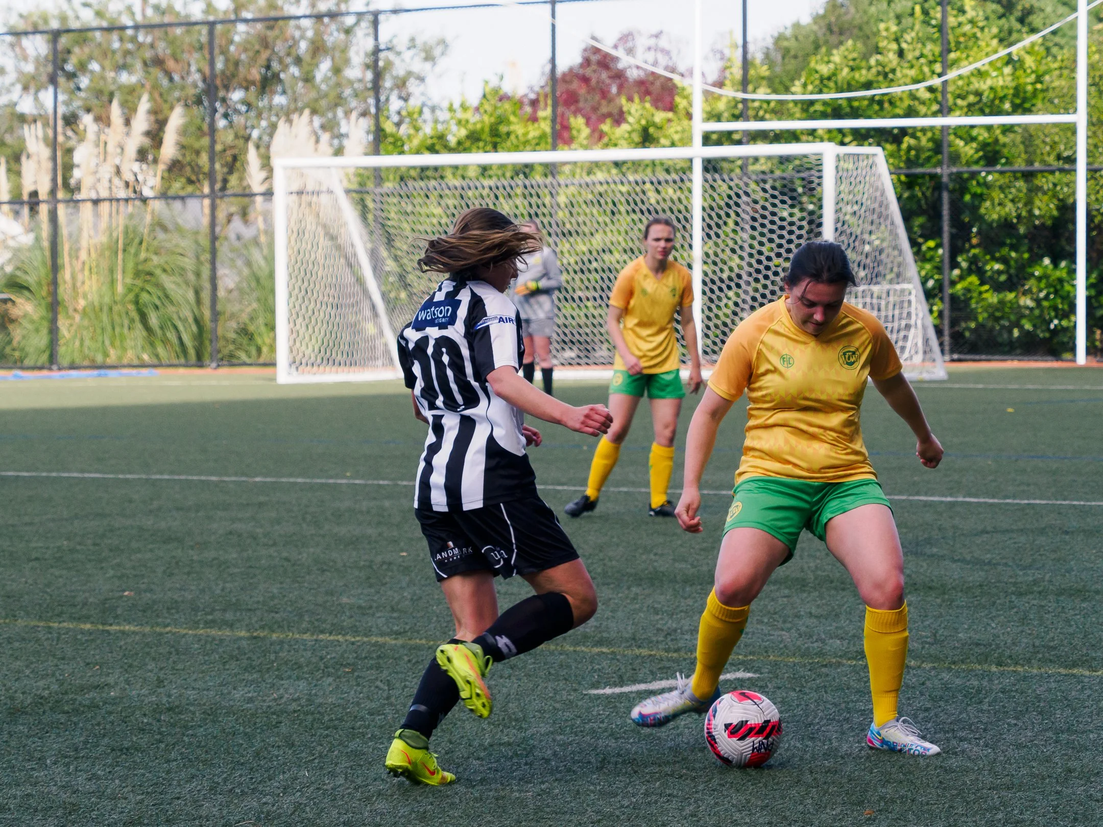 P4231428.jpg