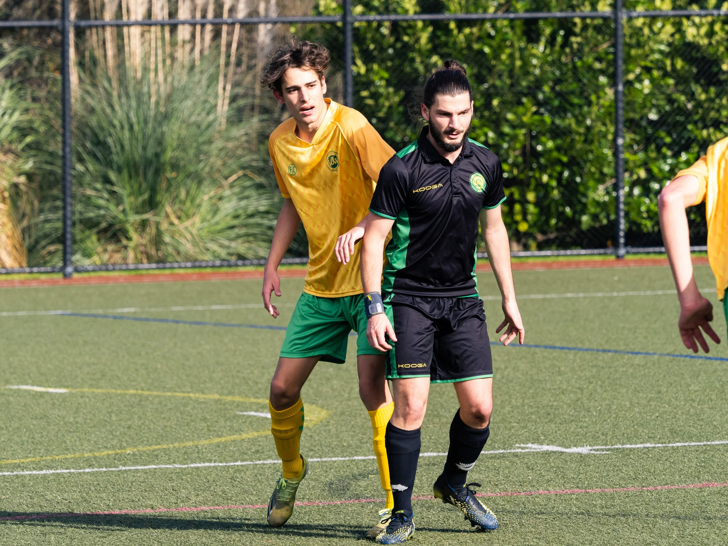 P611046.jpg
