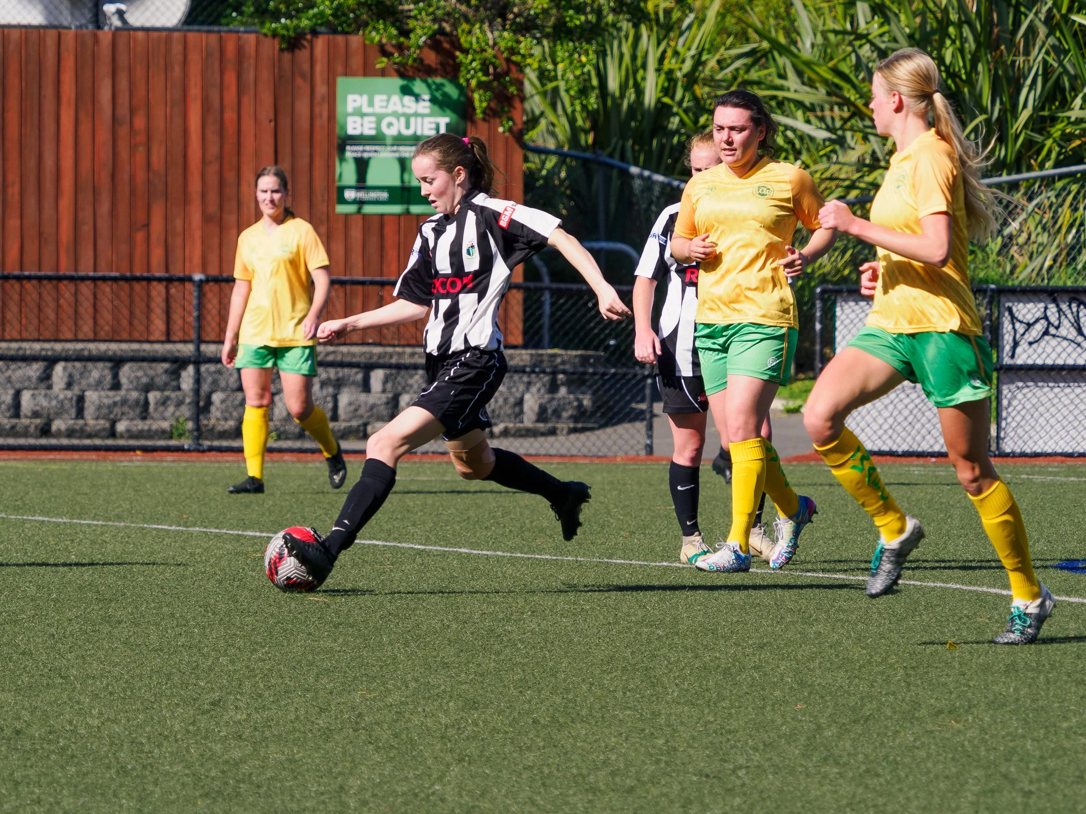 P4230654.jpg