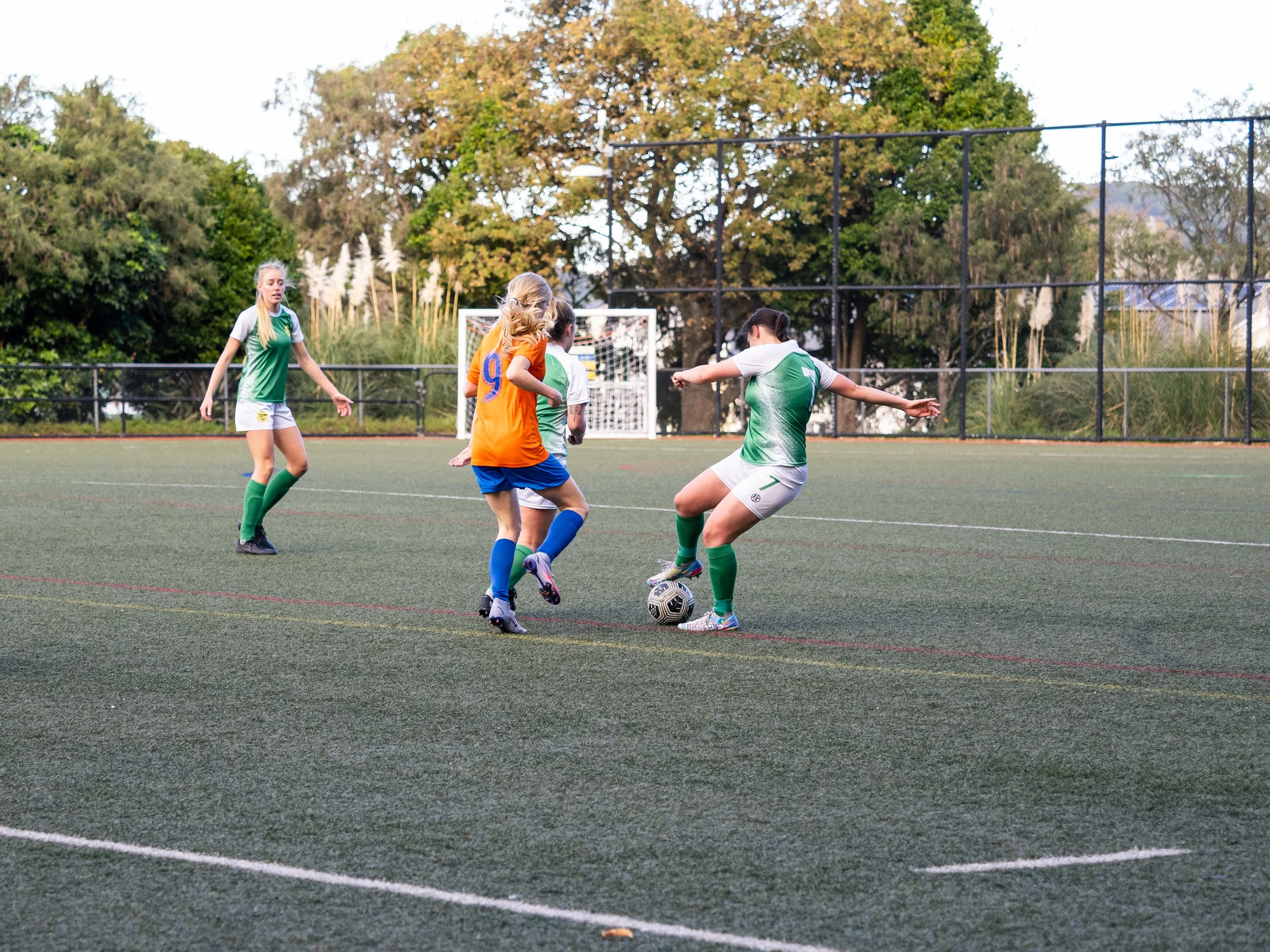 P522134.jpg
