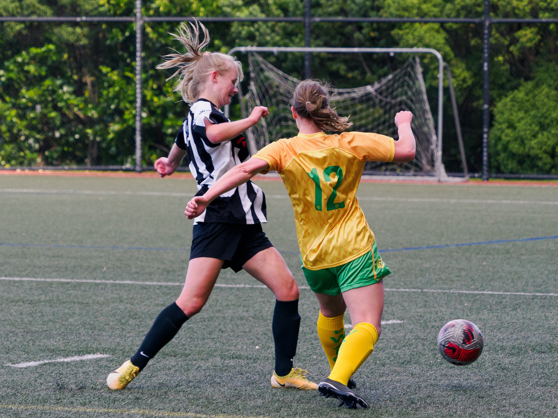 P4231177.jpg