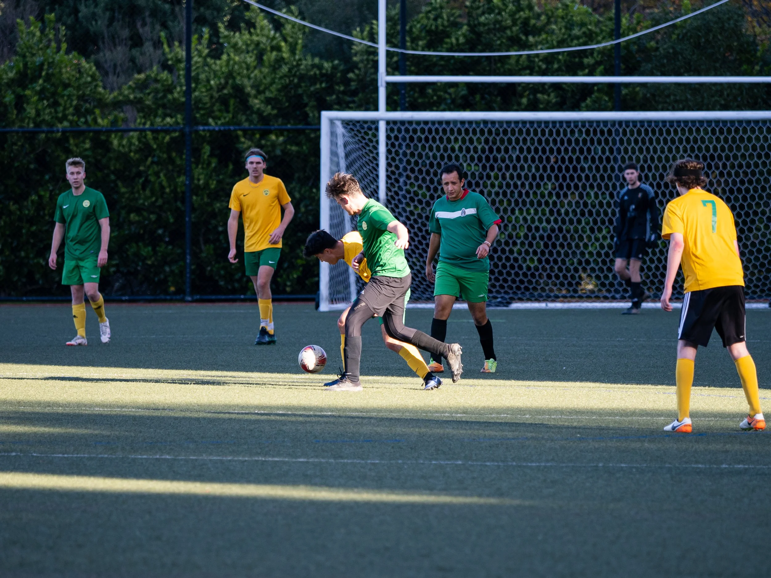 P6113855.jpg