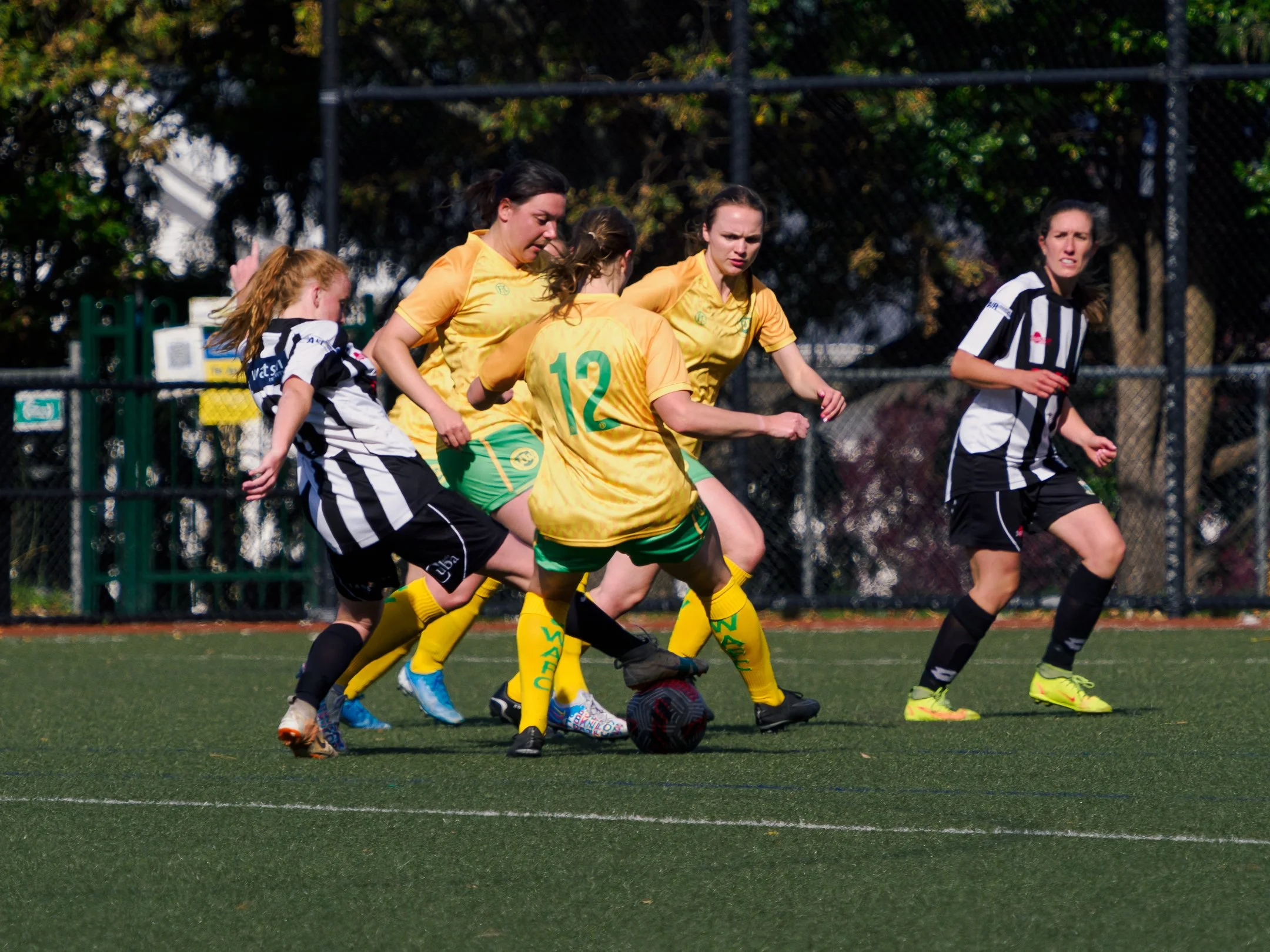 P4230994.jpg