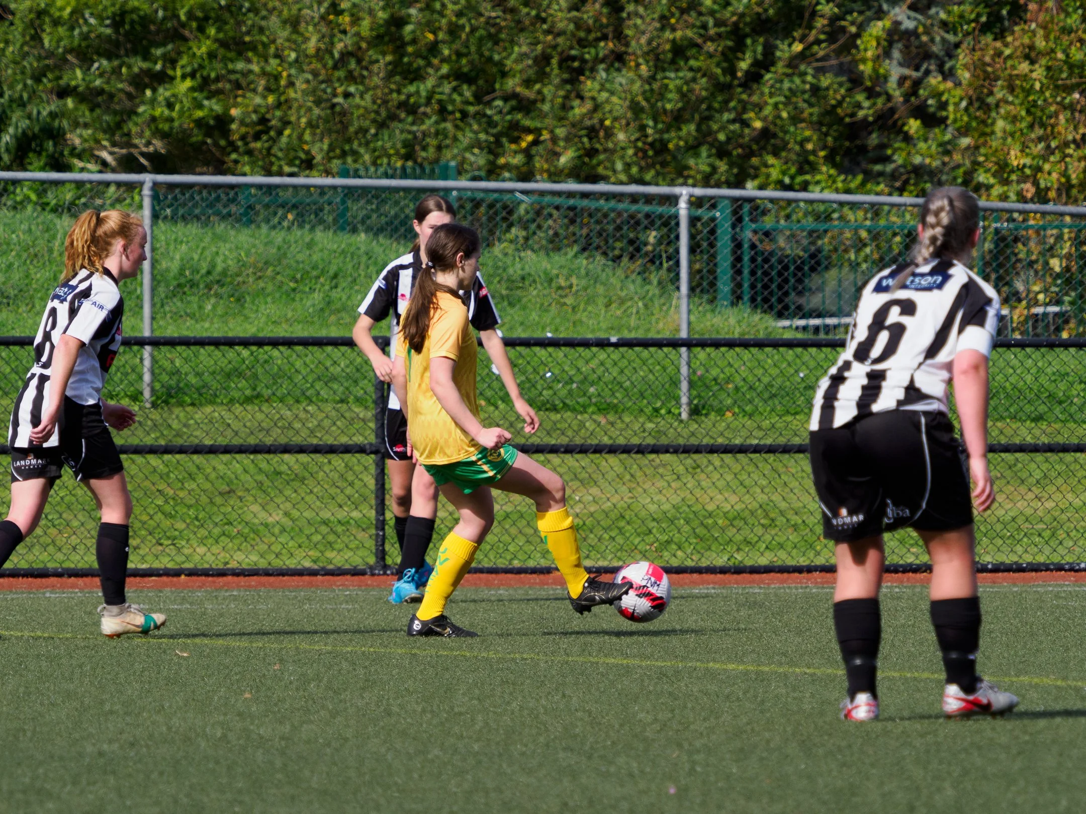 P4231389.jpg