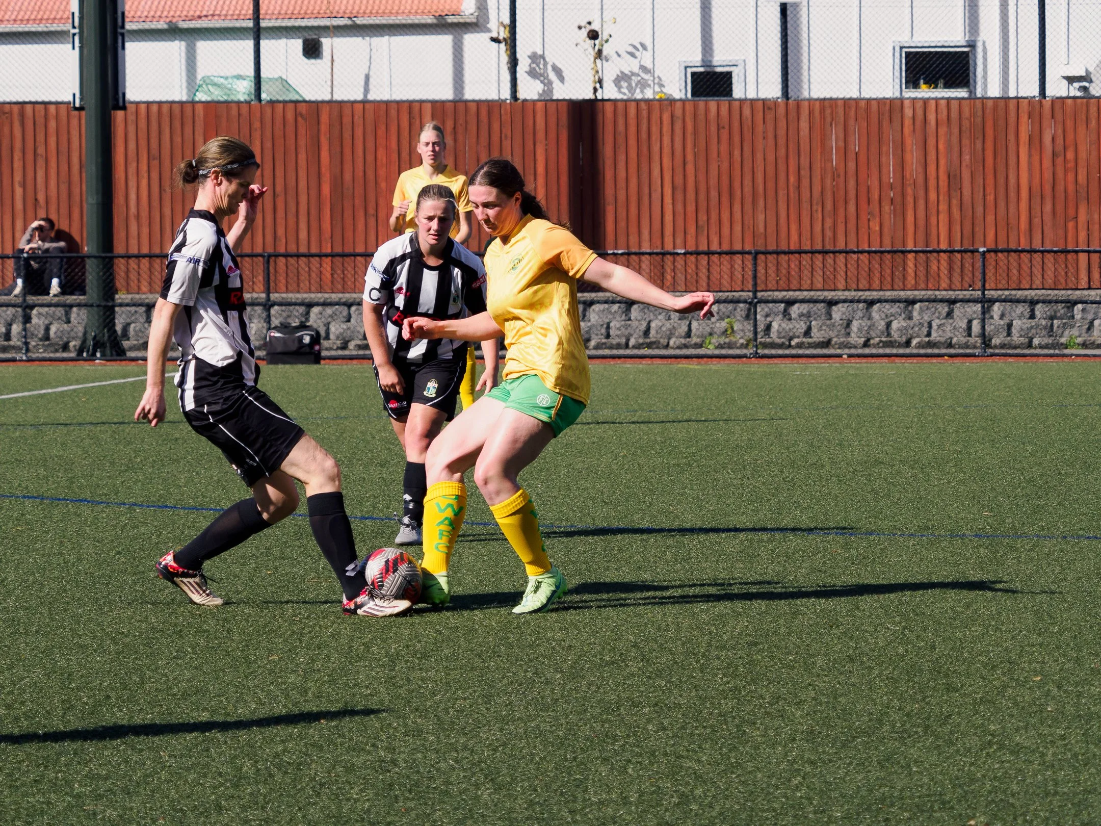 P4230915.jpg