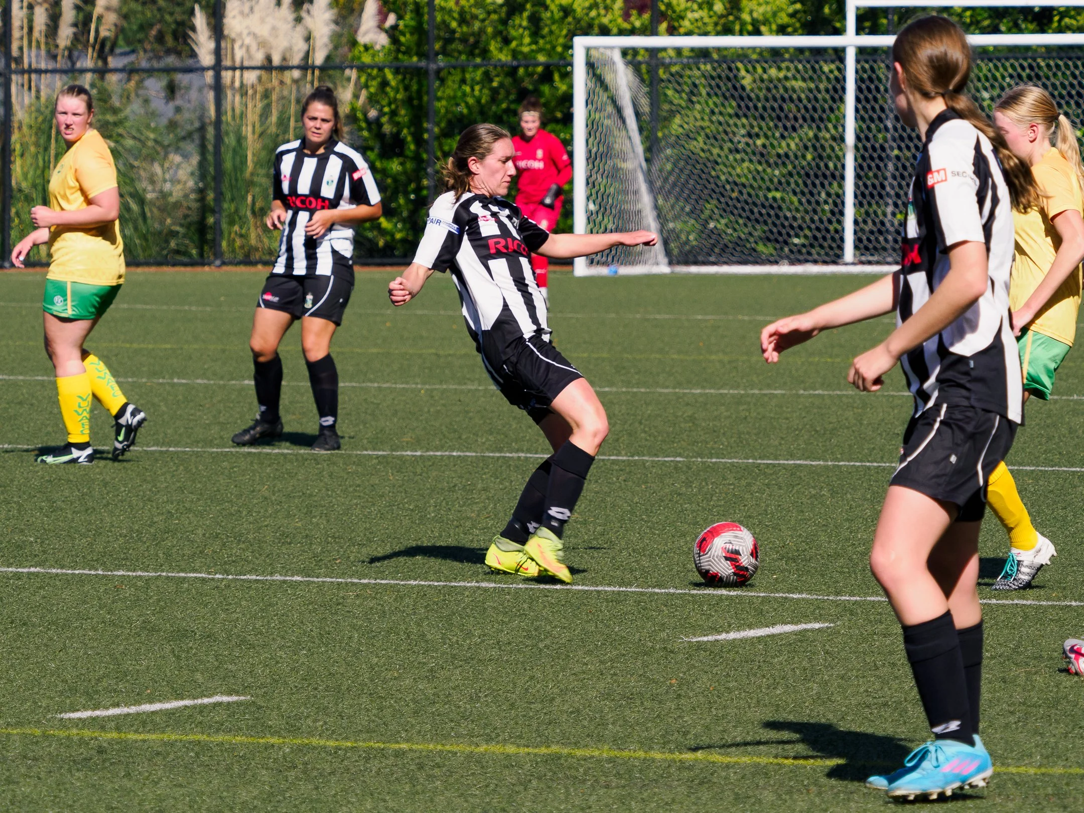 P4230740.jpg
