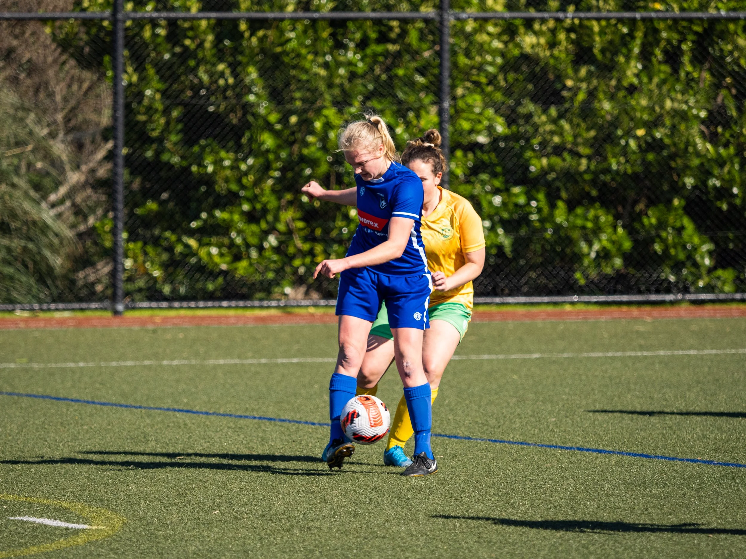 P8134136.jpg