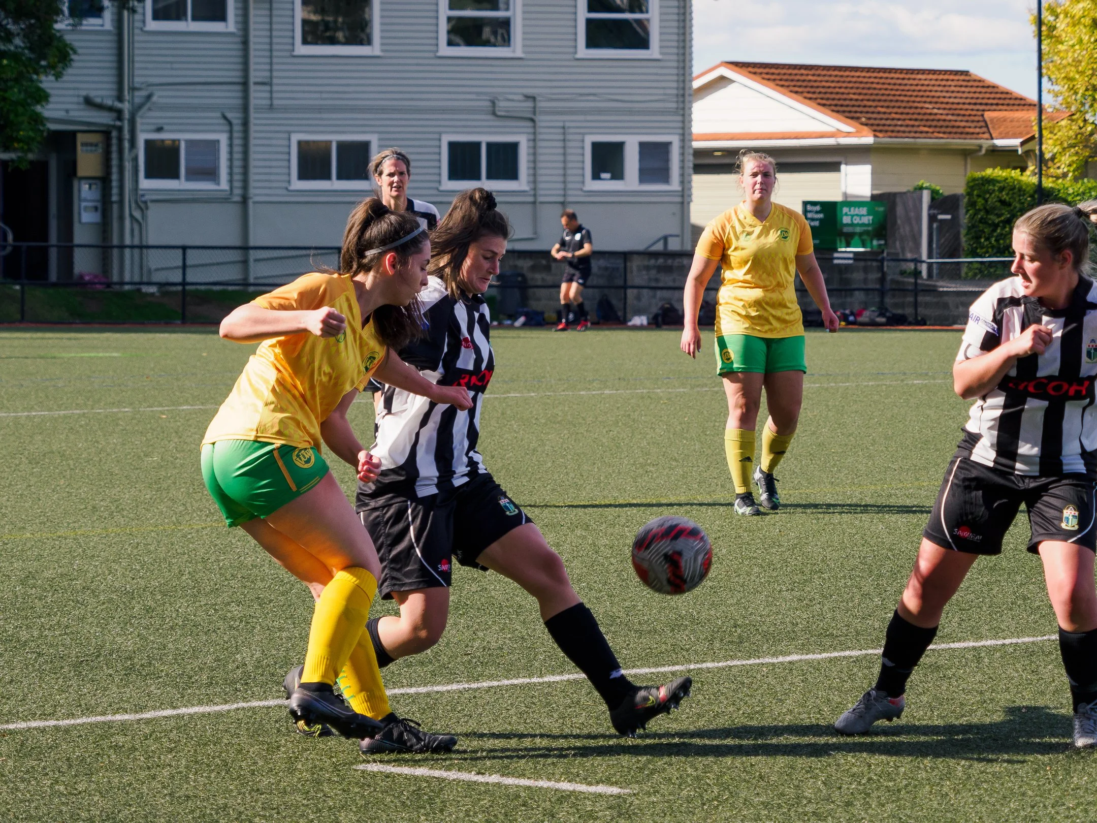 P4231944.jpg