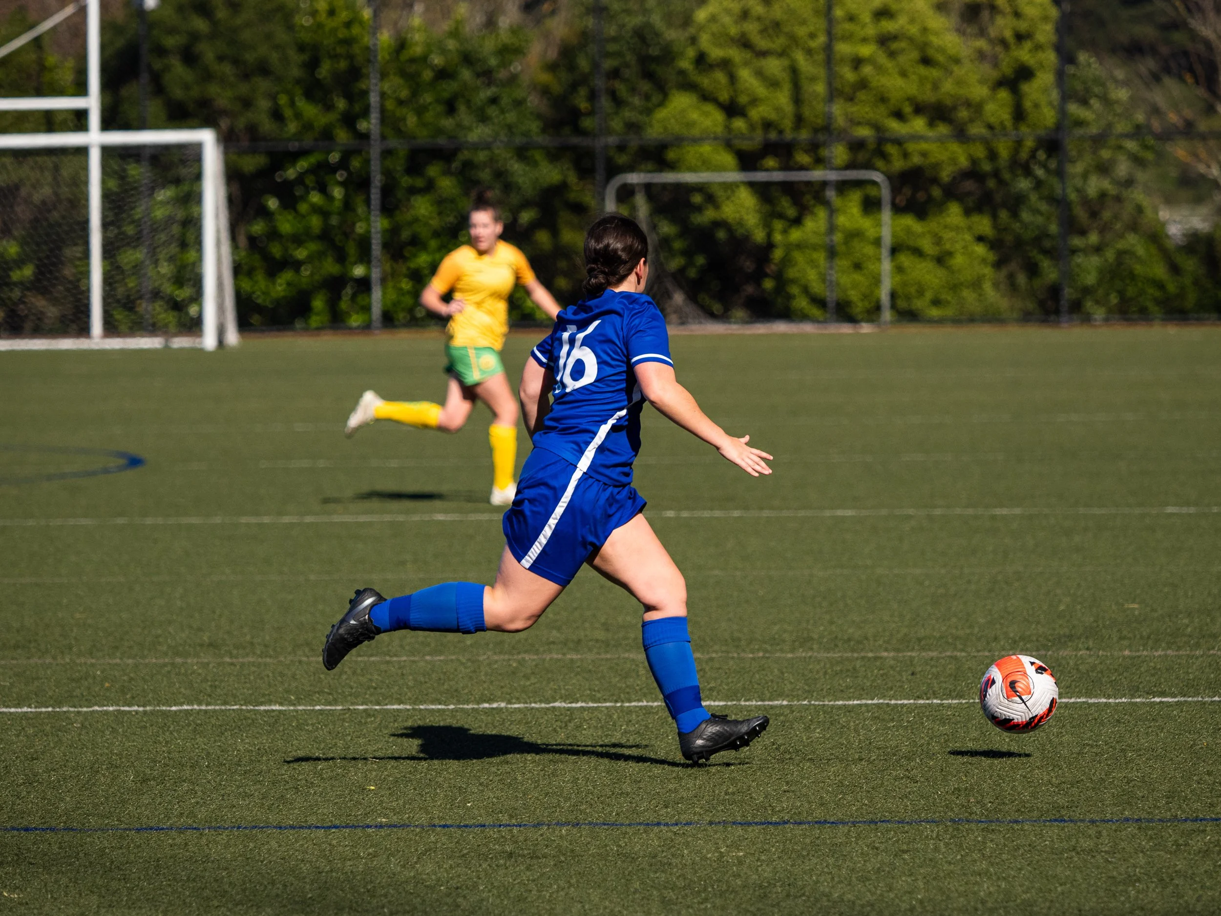 P8133673.jpg