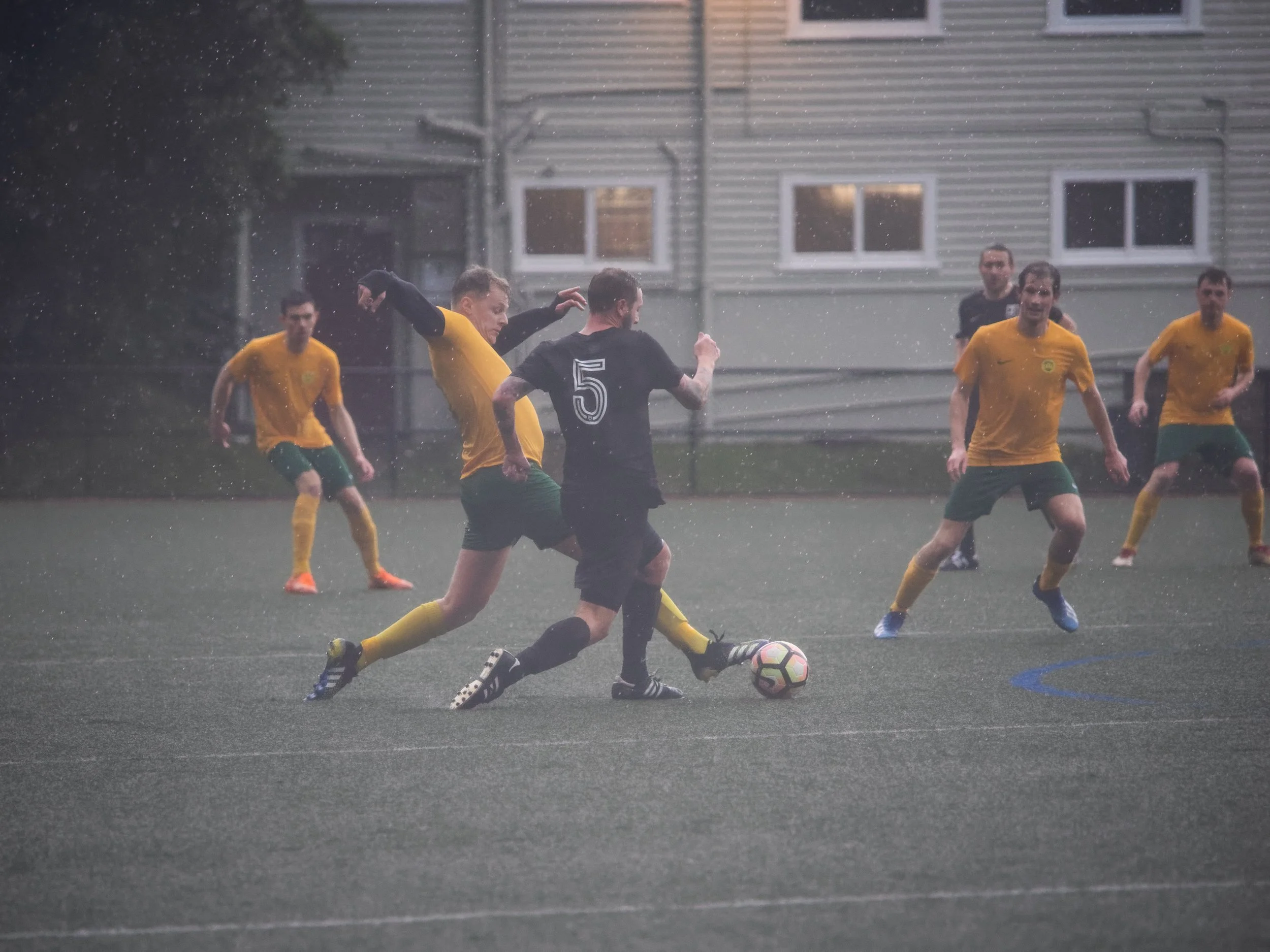 P7306508_DxO.jpg